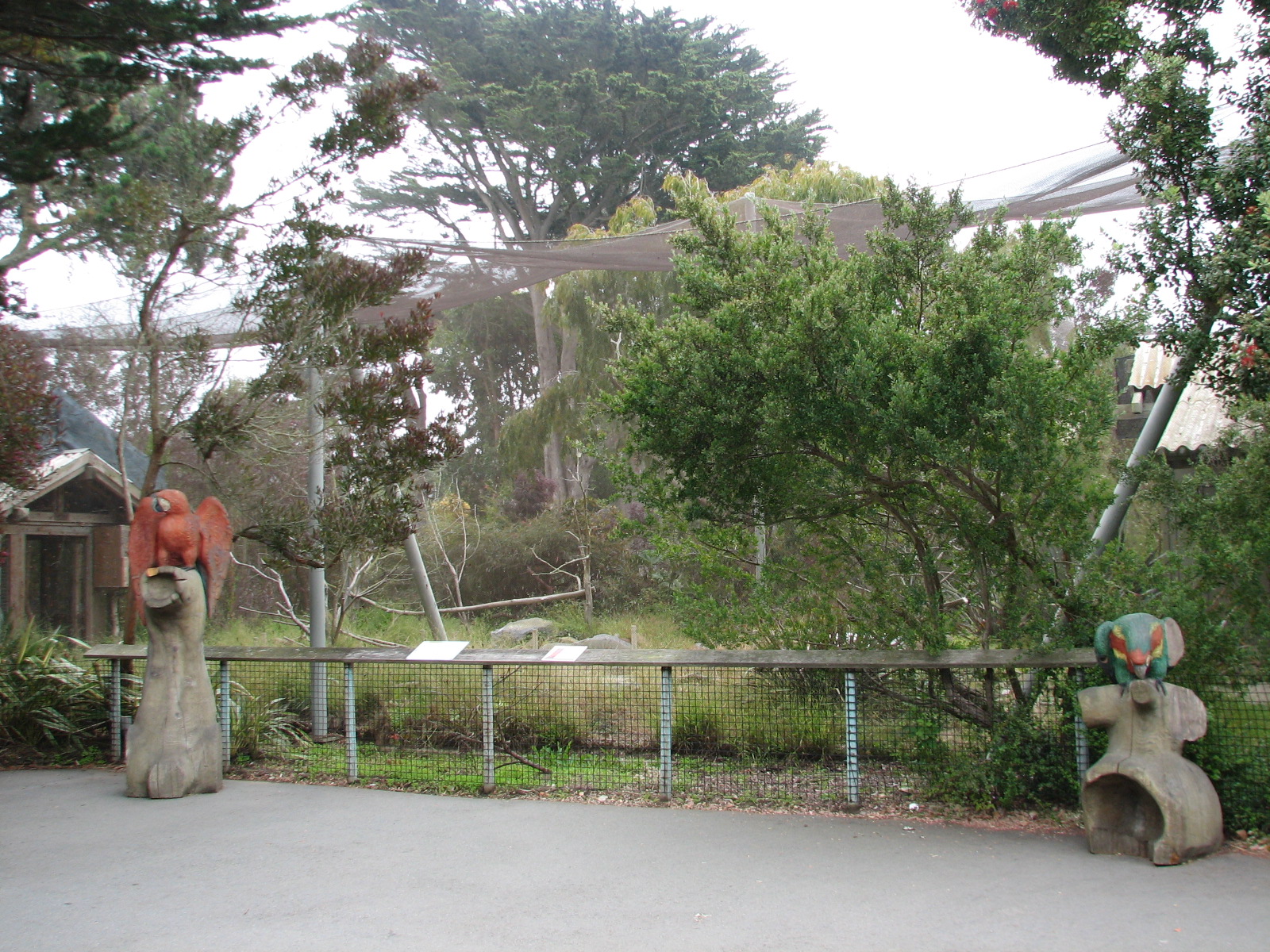 Southern Ground Hornbill Exhibit
