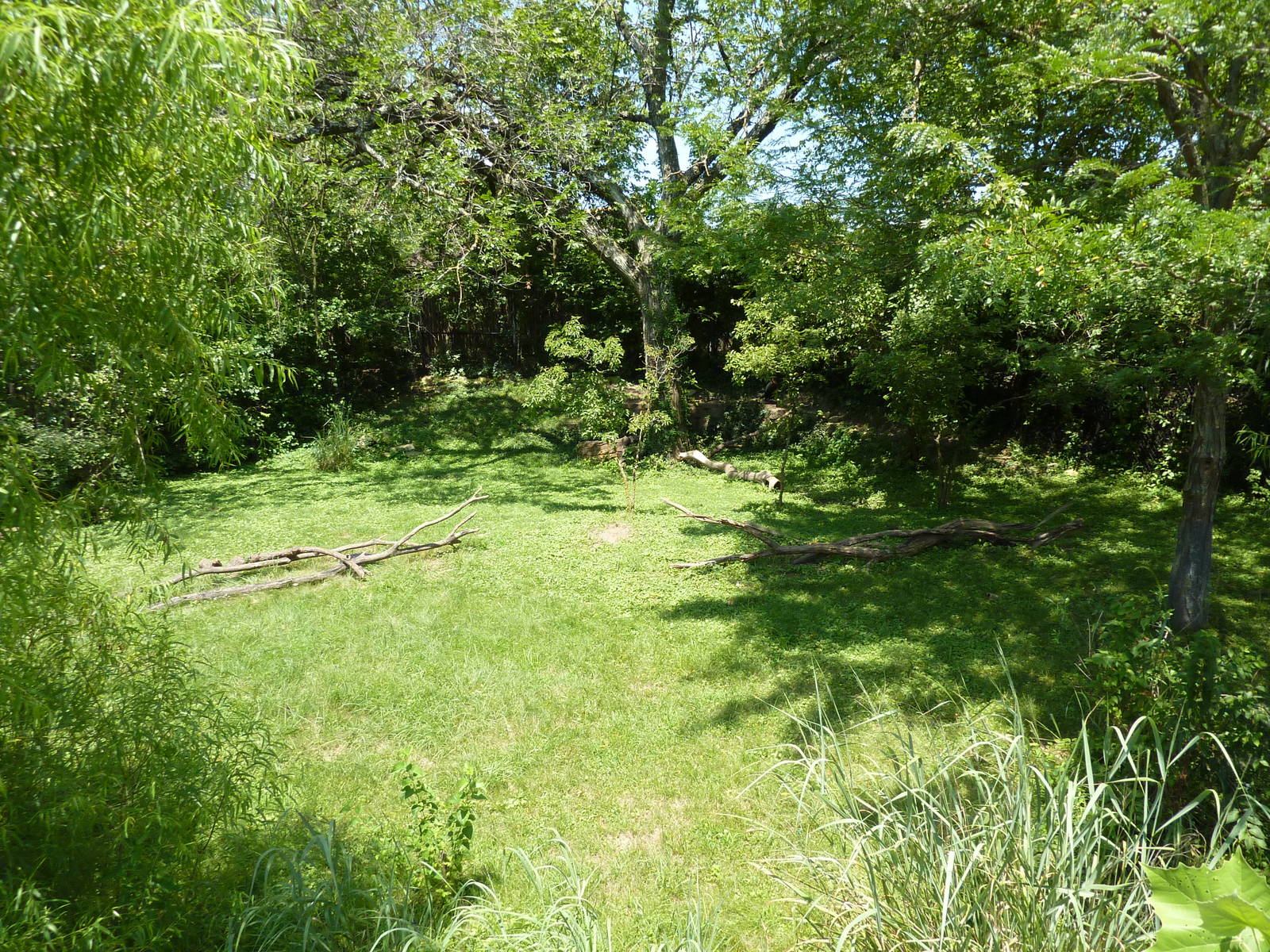Southern Ground Hornbill Exhibit