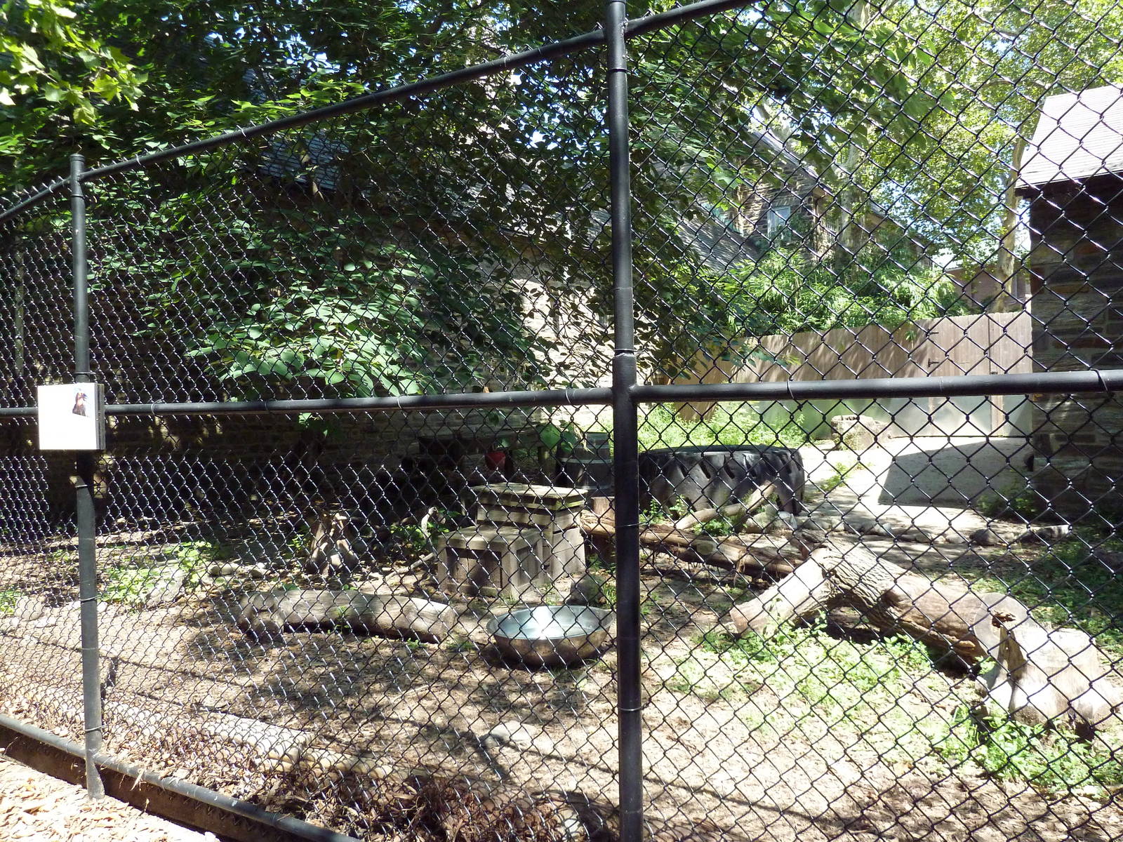 Southern Ground Hornbill Exhibit