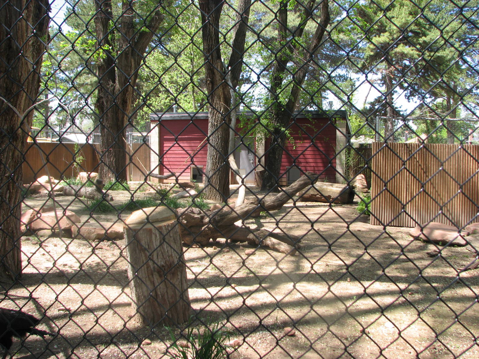 Southern Ground Hornbill Exhibit