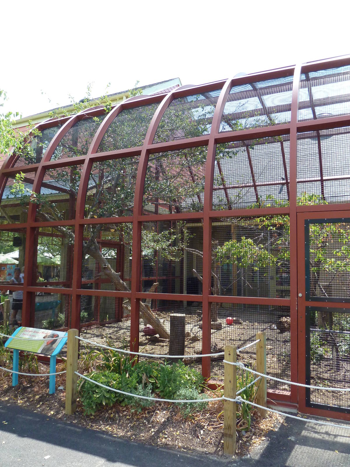 Southern Ground Hornbill Exhibit