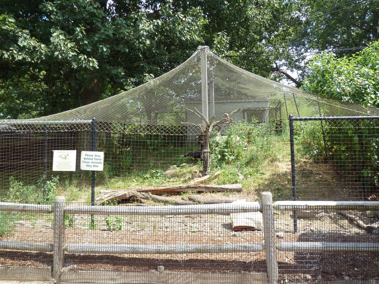 Southern Ground Hornbill Exhibit