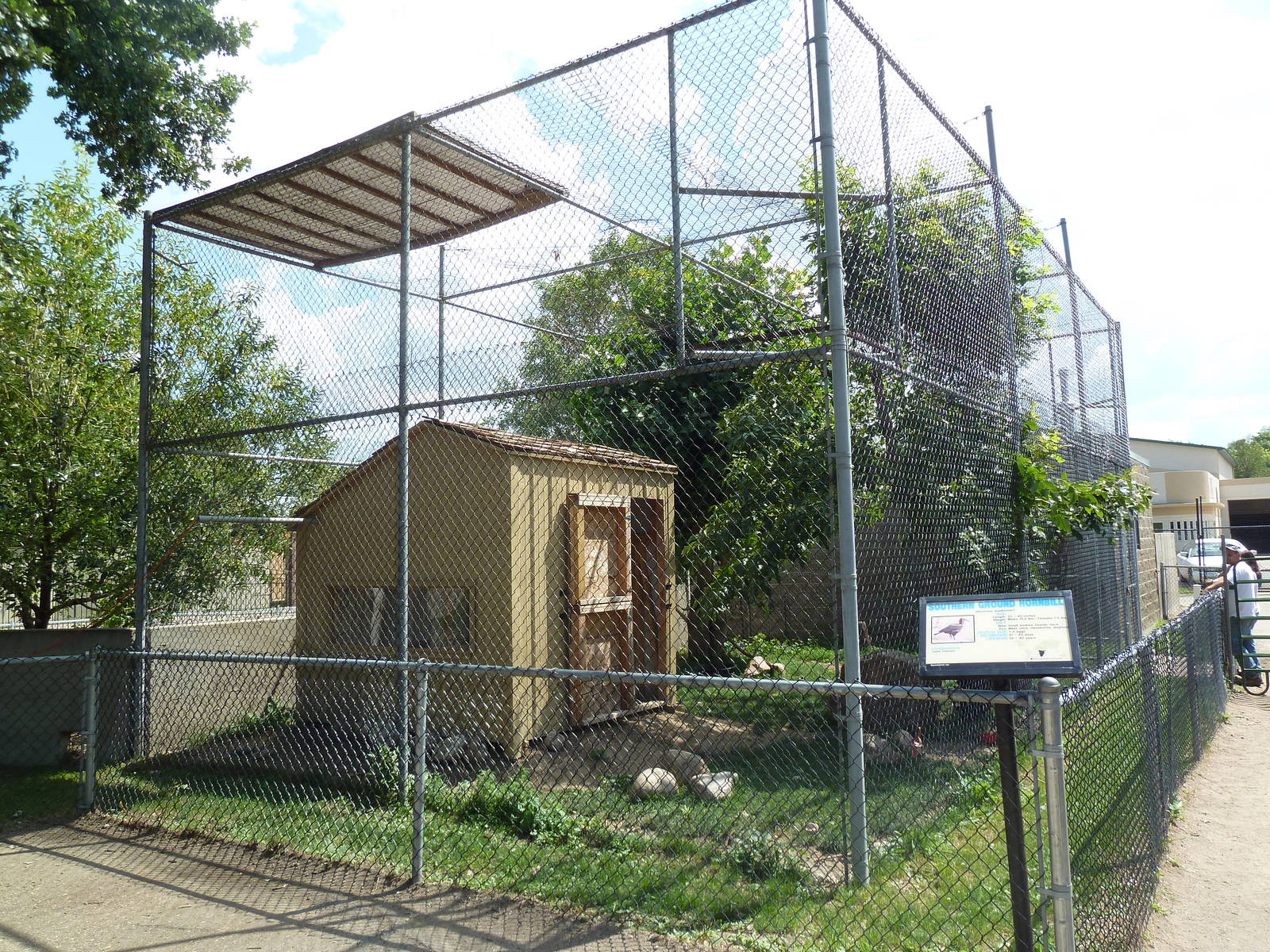 Southern Ground Hornbill Exhibit