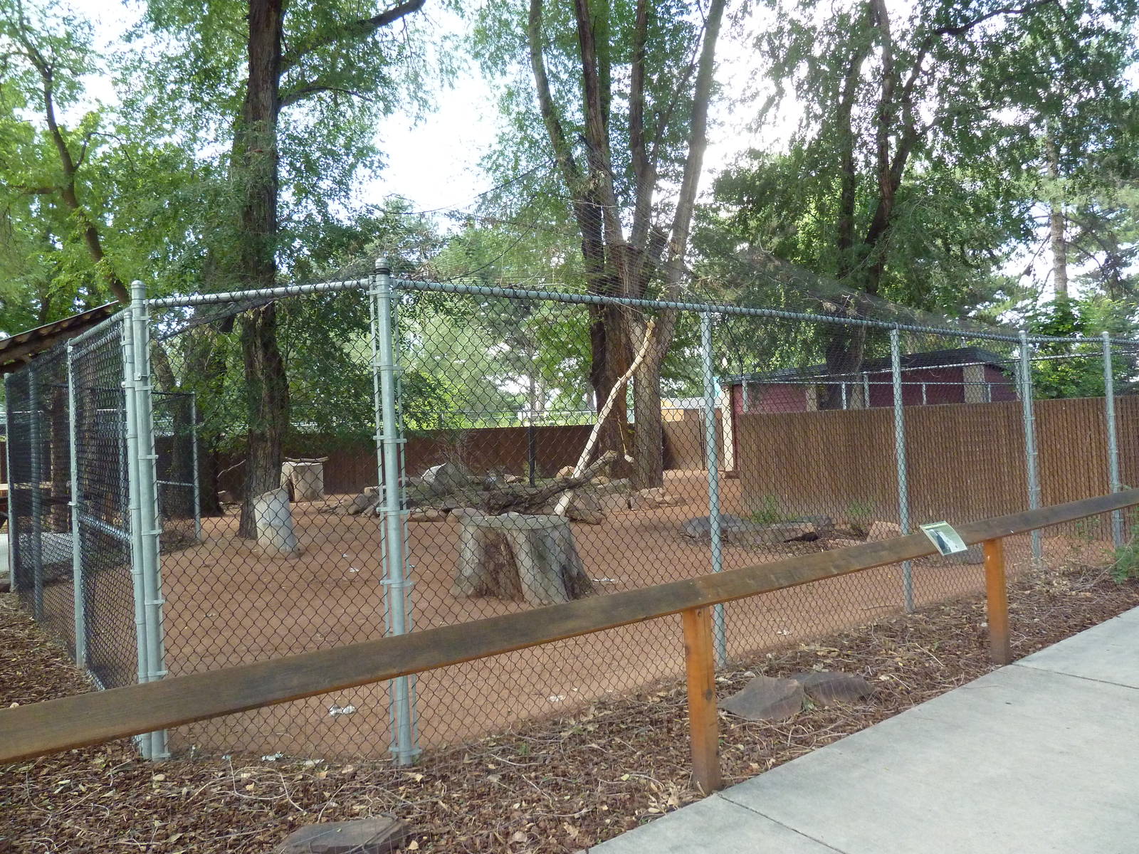 Southern Ground Hornbill Exhibit