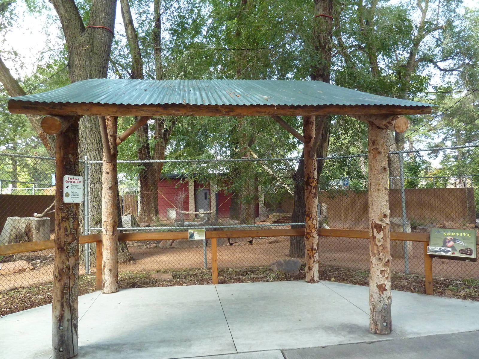 Southern Ground Hornbill Exhibit