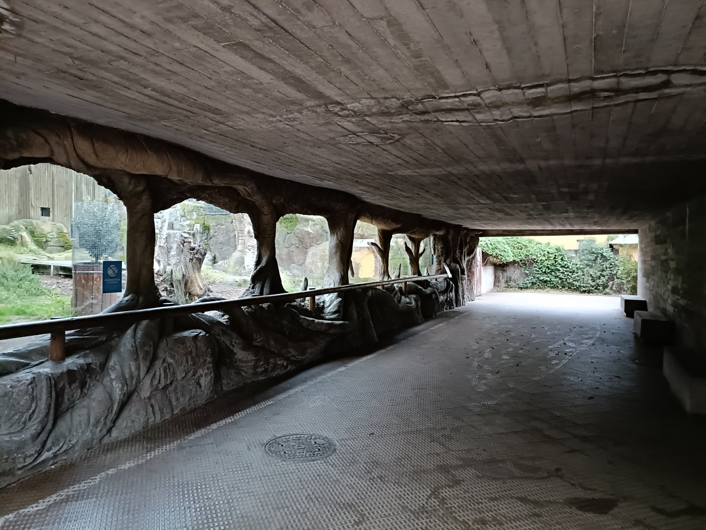 Southern ground hornbill exhibit