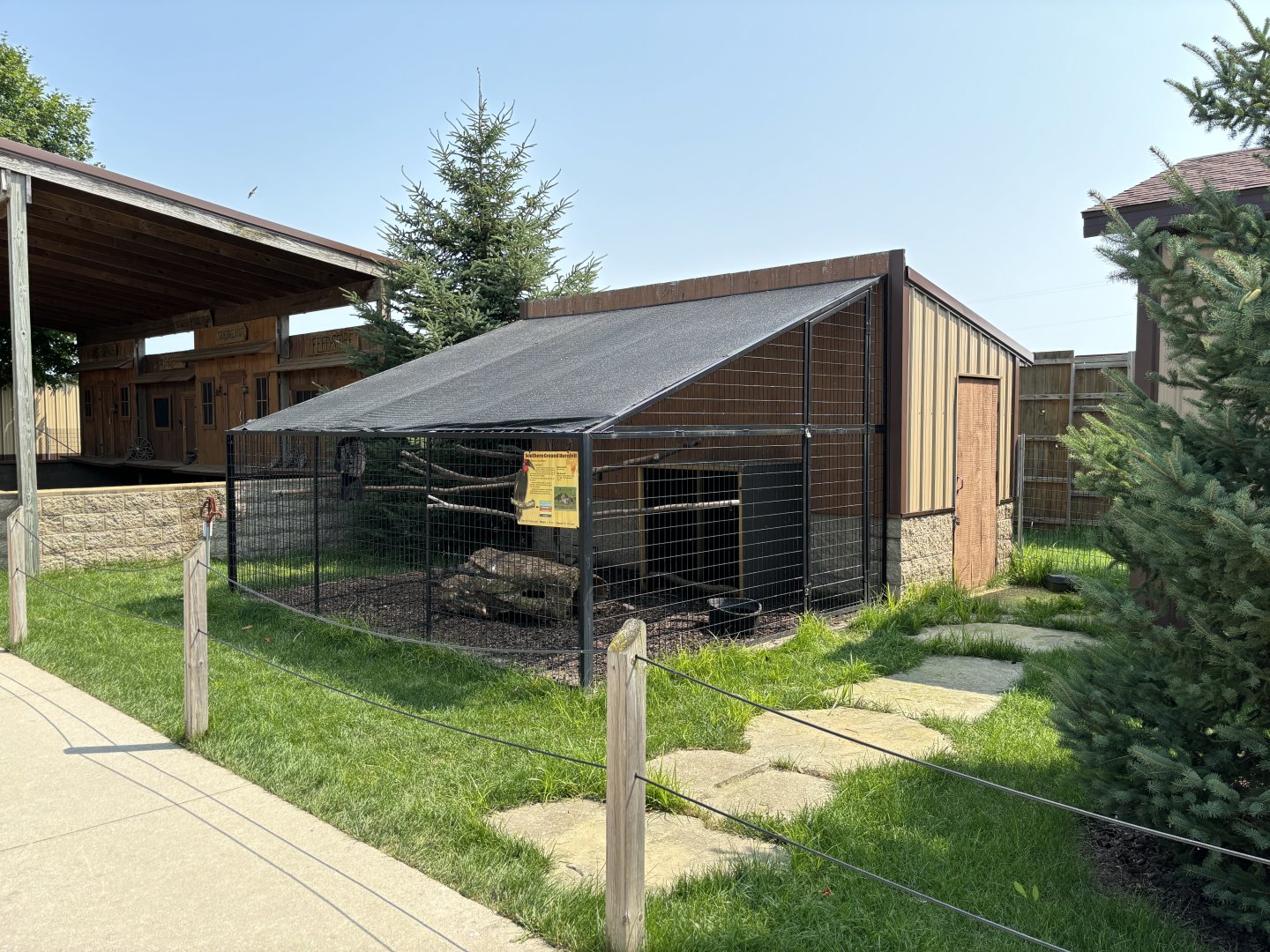 Southern Ground Hornbill Exhibit