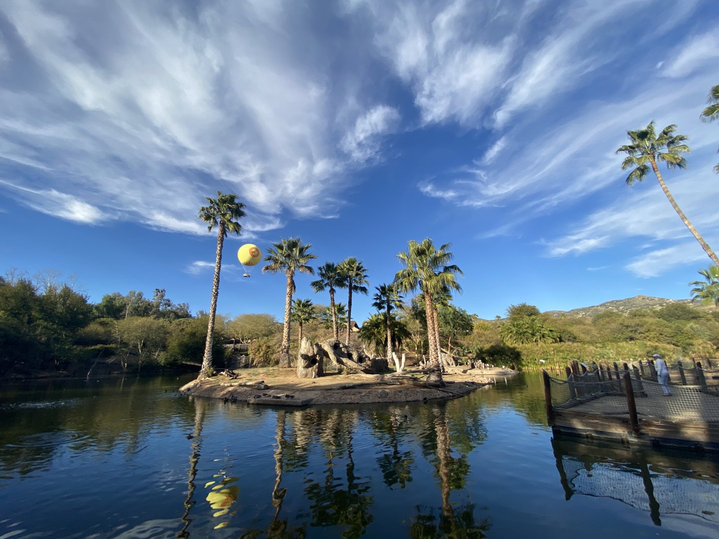 Southern Ground Hornbill Island - African Loop