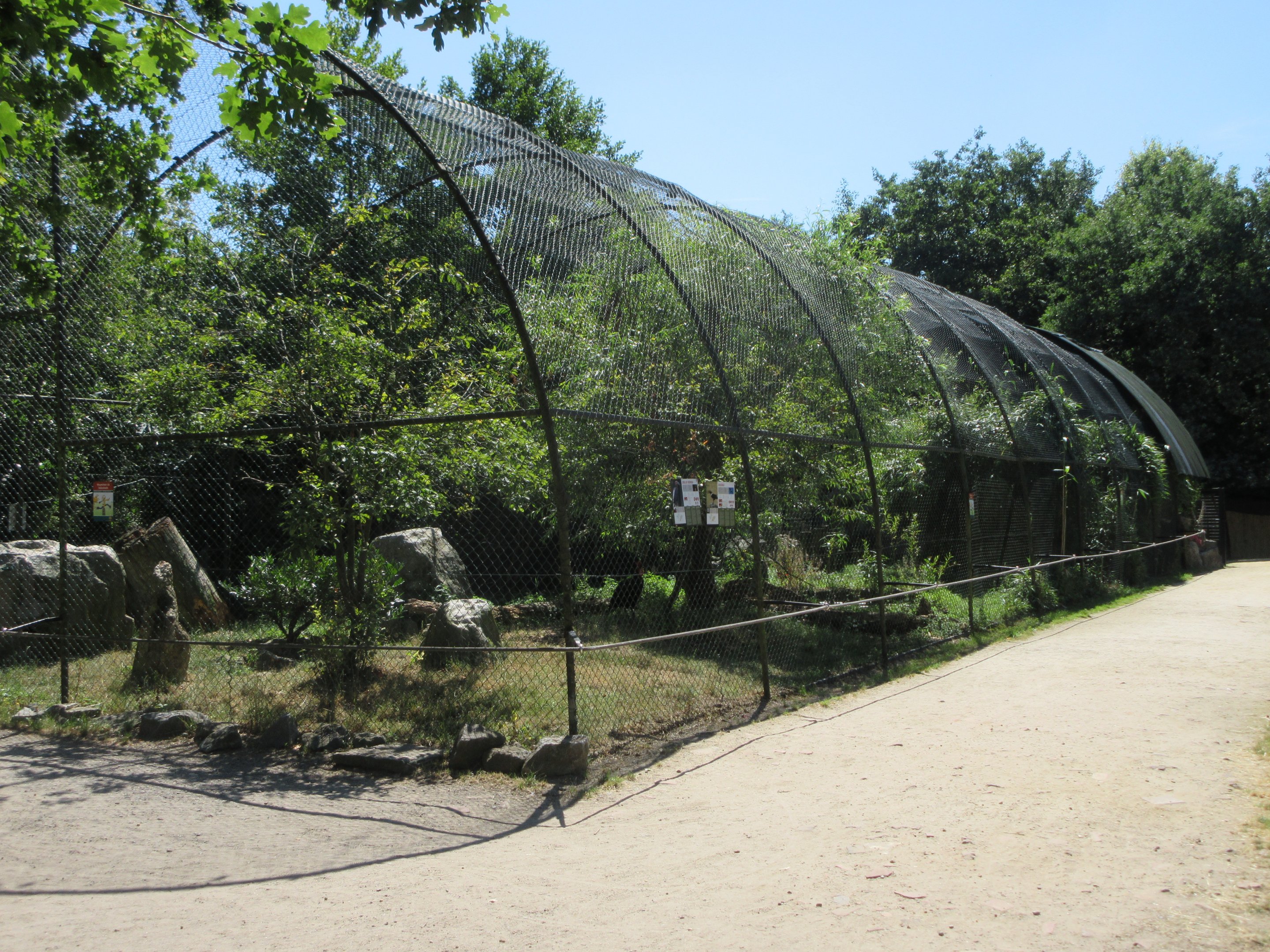 Southern Ground Hornbill/Pied Crow Exhibit