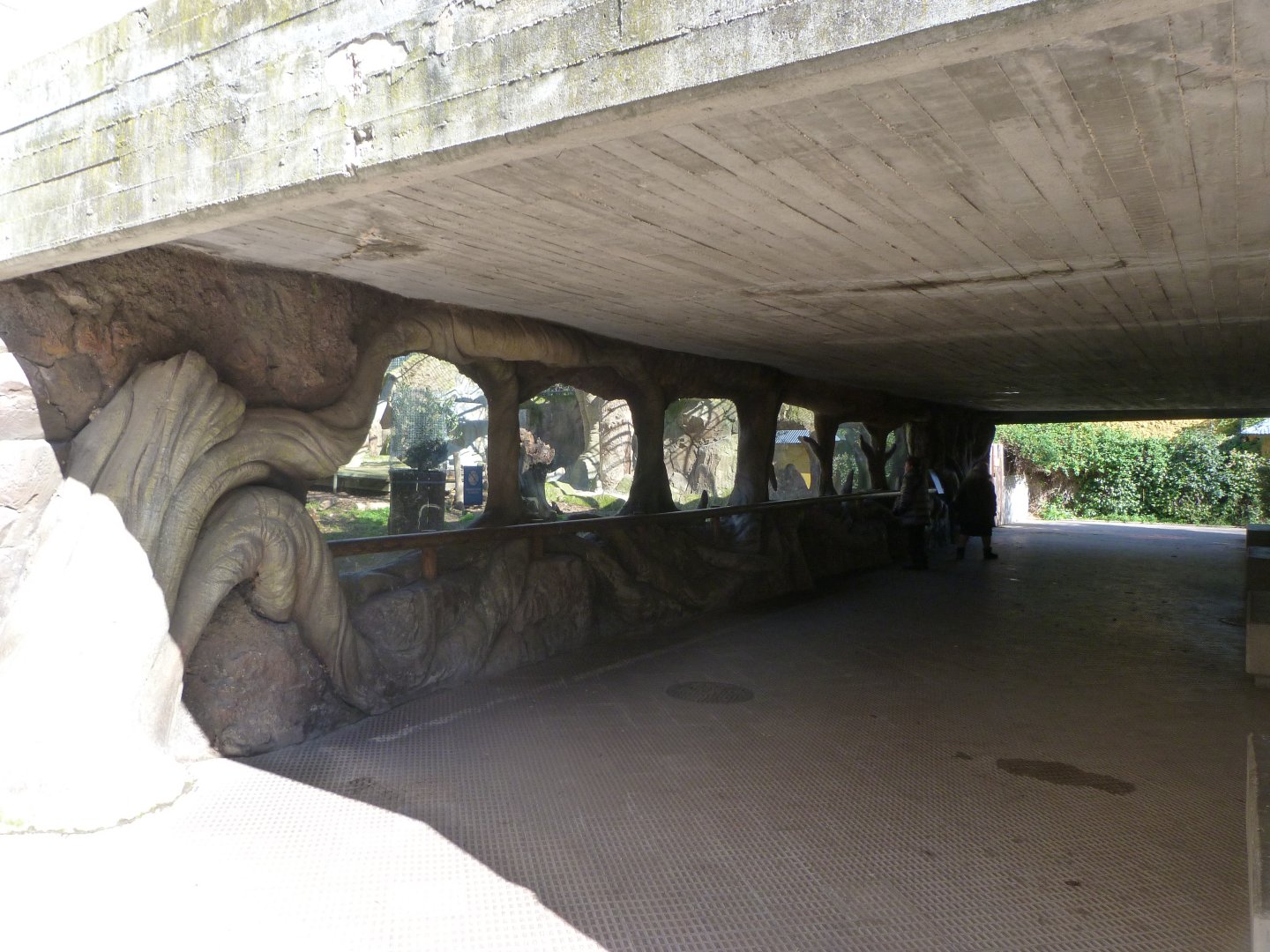 Southern ground hornbill viewing area -Zoo Aquarium de Madrid (2025)