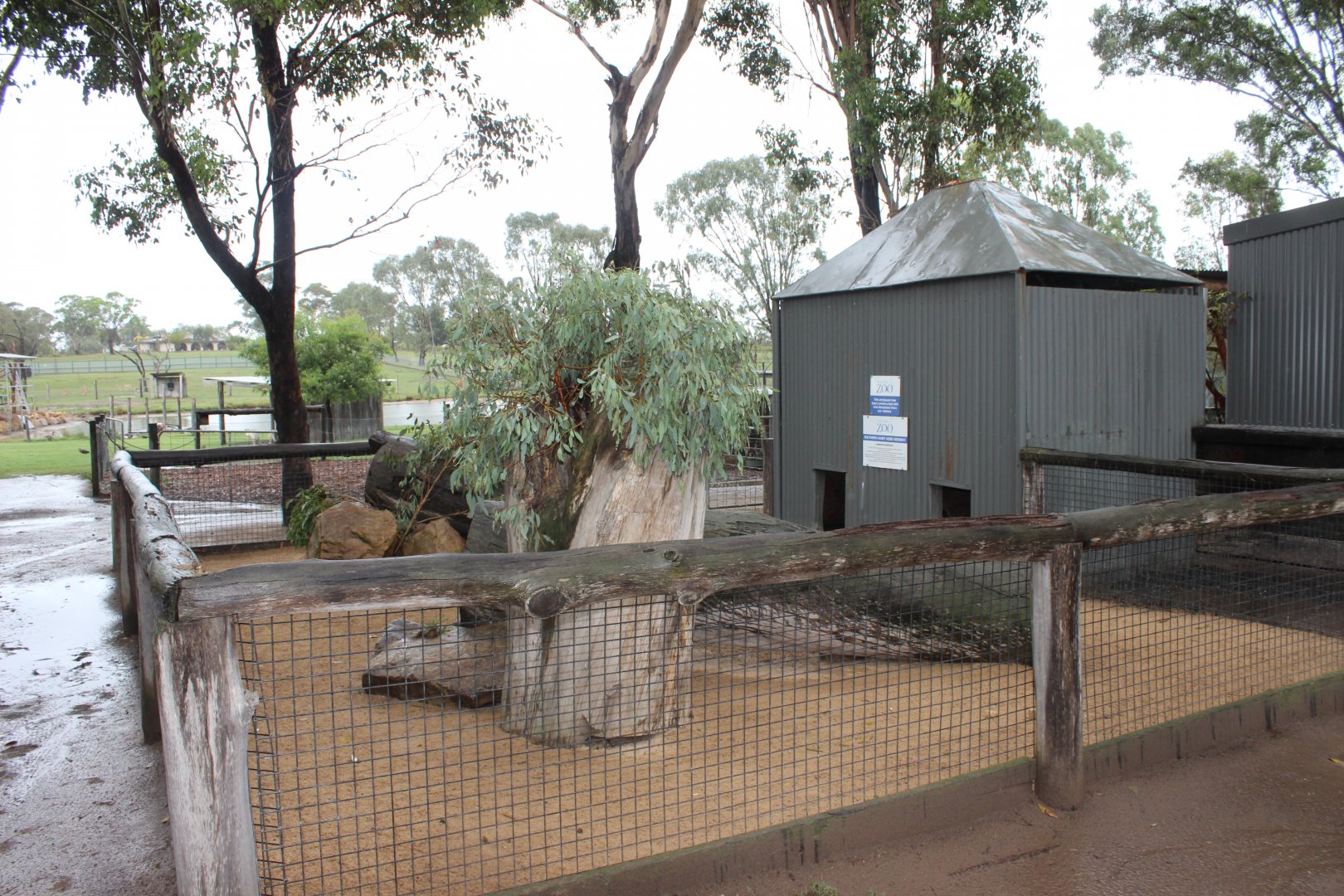 Southern Hairy-Nosed Wombat enclosure