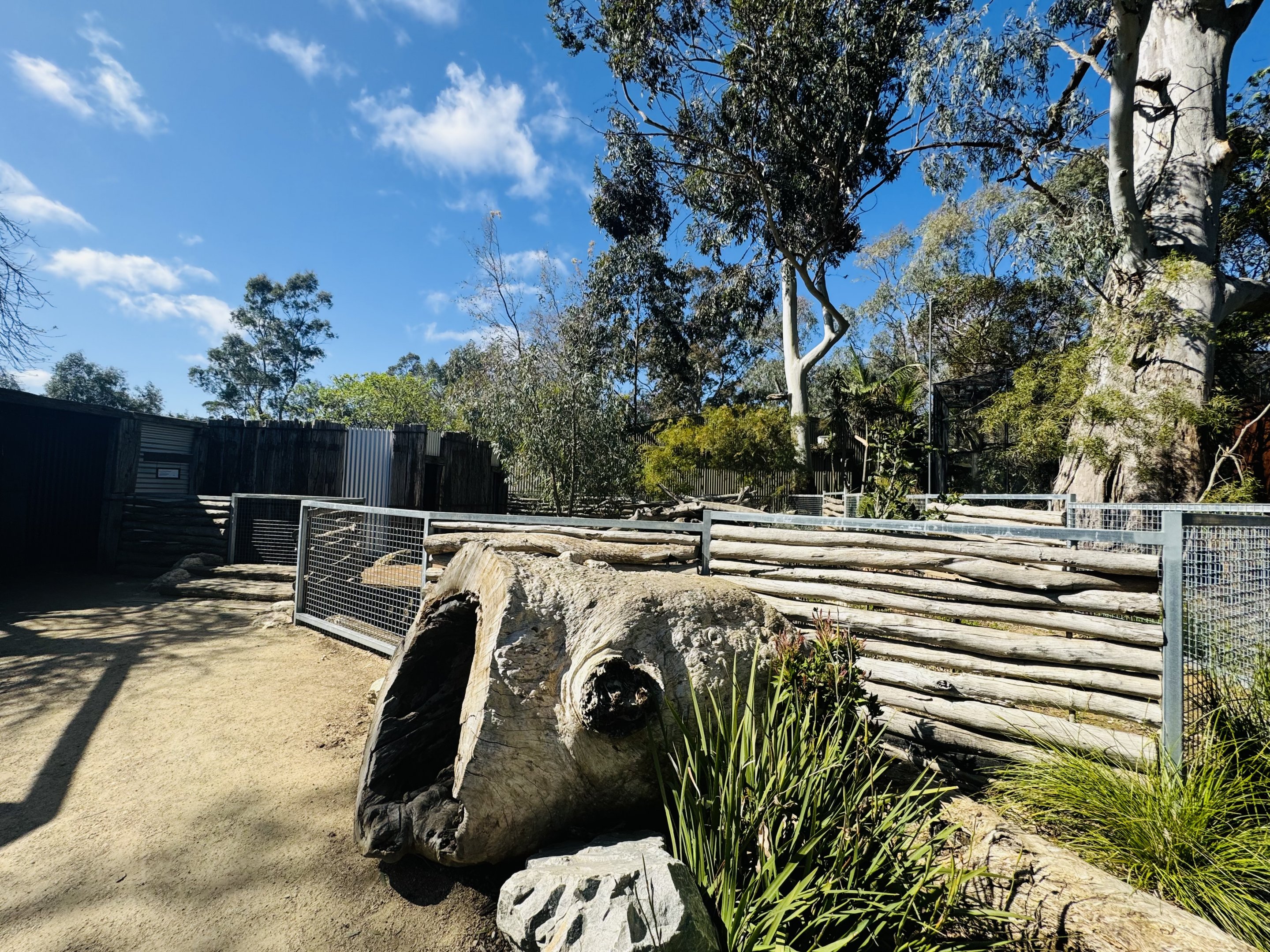 Southern hairy-nosed wombat enclosure