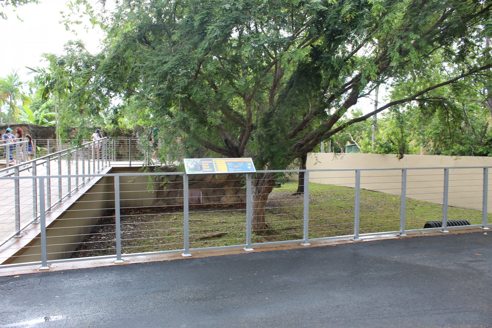 Southern Hairy-Nosed Wombat Exhibit - Australian Center