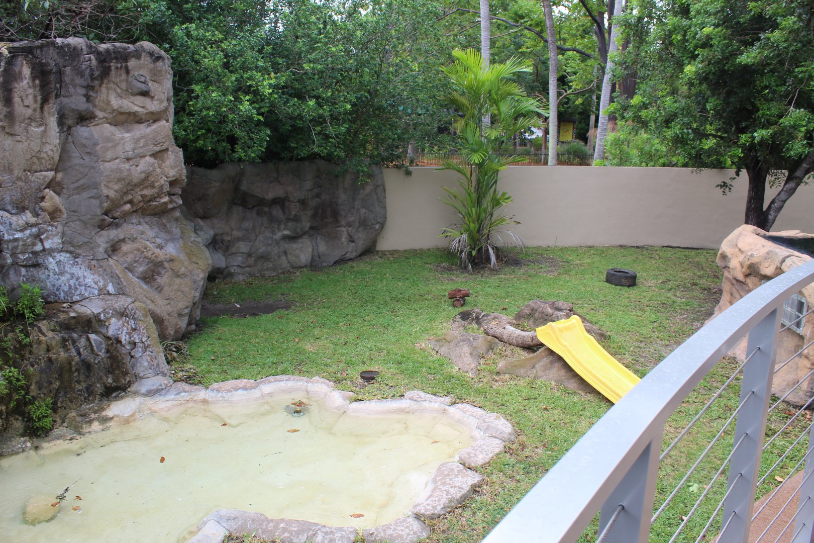 Southern Hairy-Nosed Wombat Exhibit - Australian Center