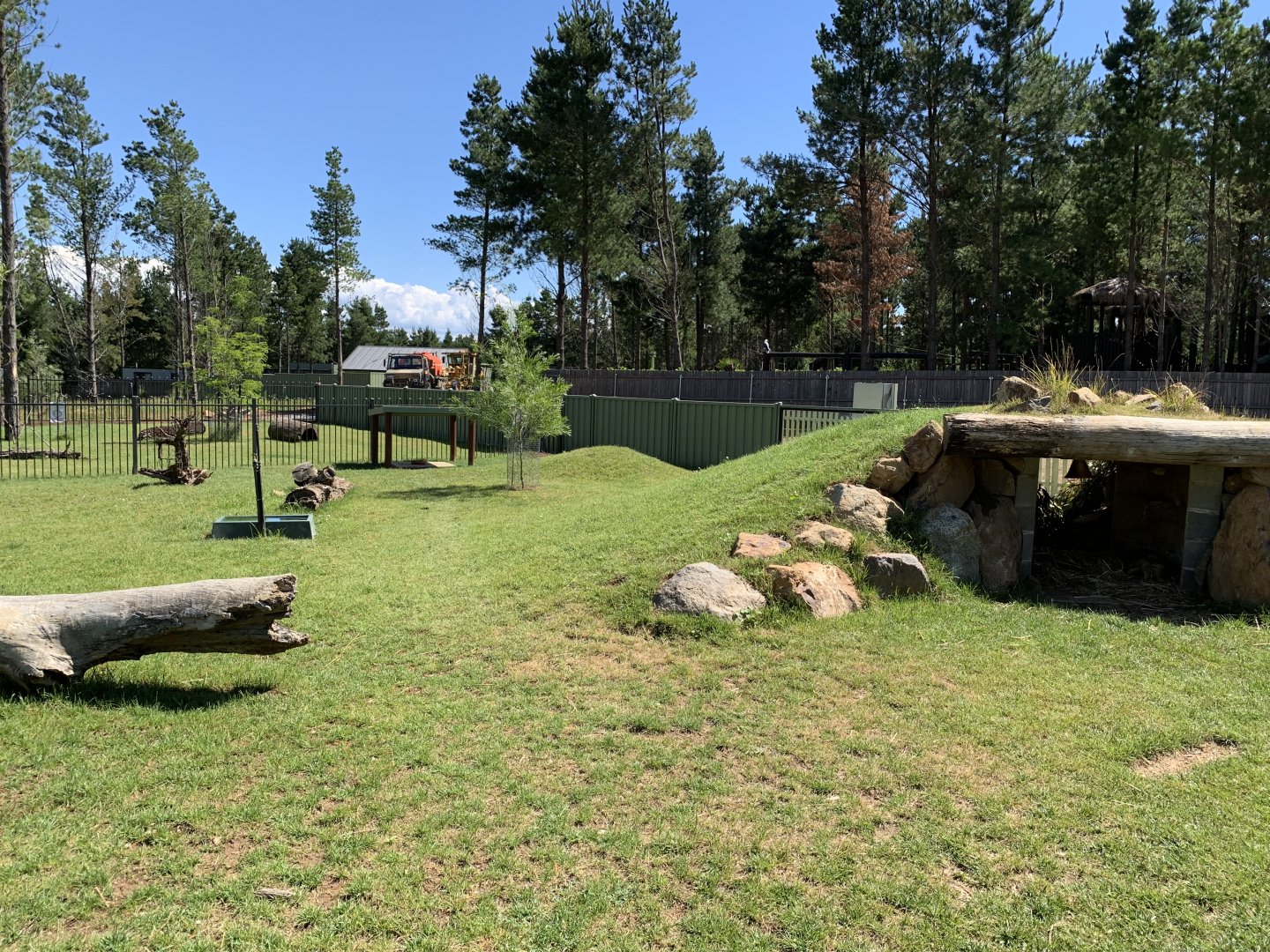 Southern Hairy-nosed Wombat Exhibit