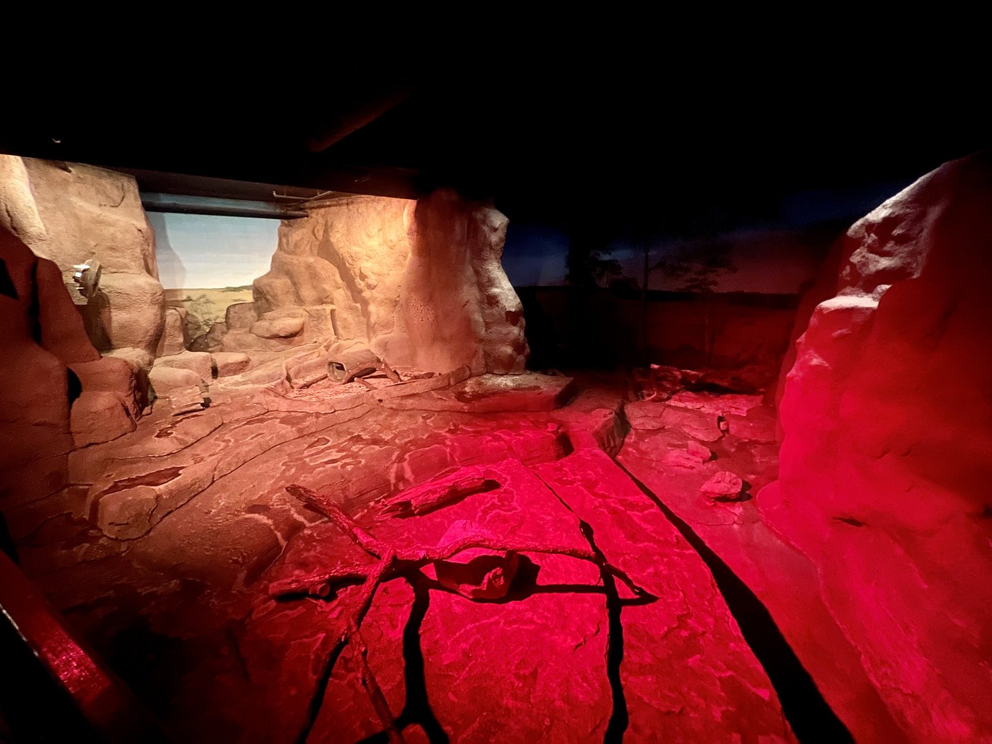 Southern-Hairy Nosed Wombat Exhibit