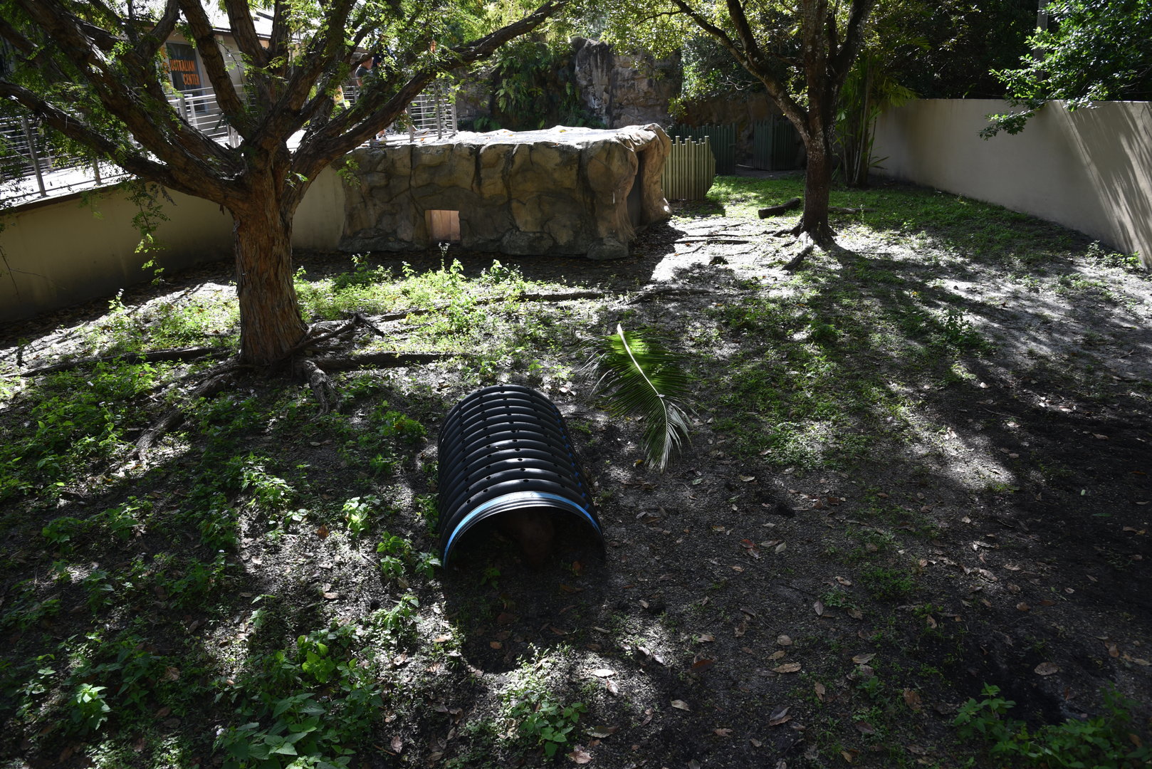 Southern Hairy-Nosed Wombat Habitat