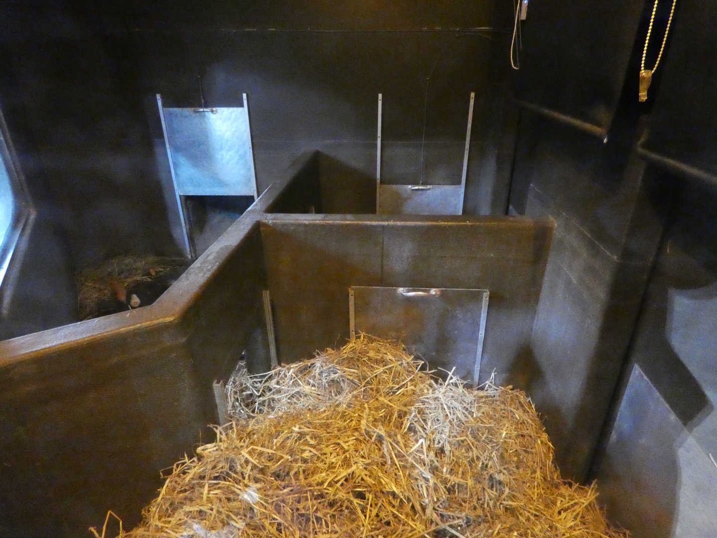 Southern Hairy-nosed Wombat indoor enclosure