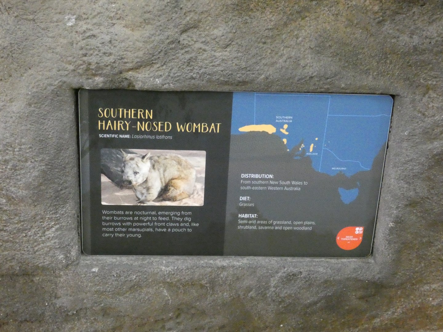 Southern Hairy-nosed Wombat signage