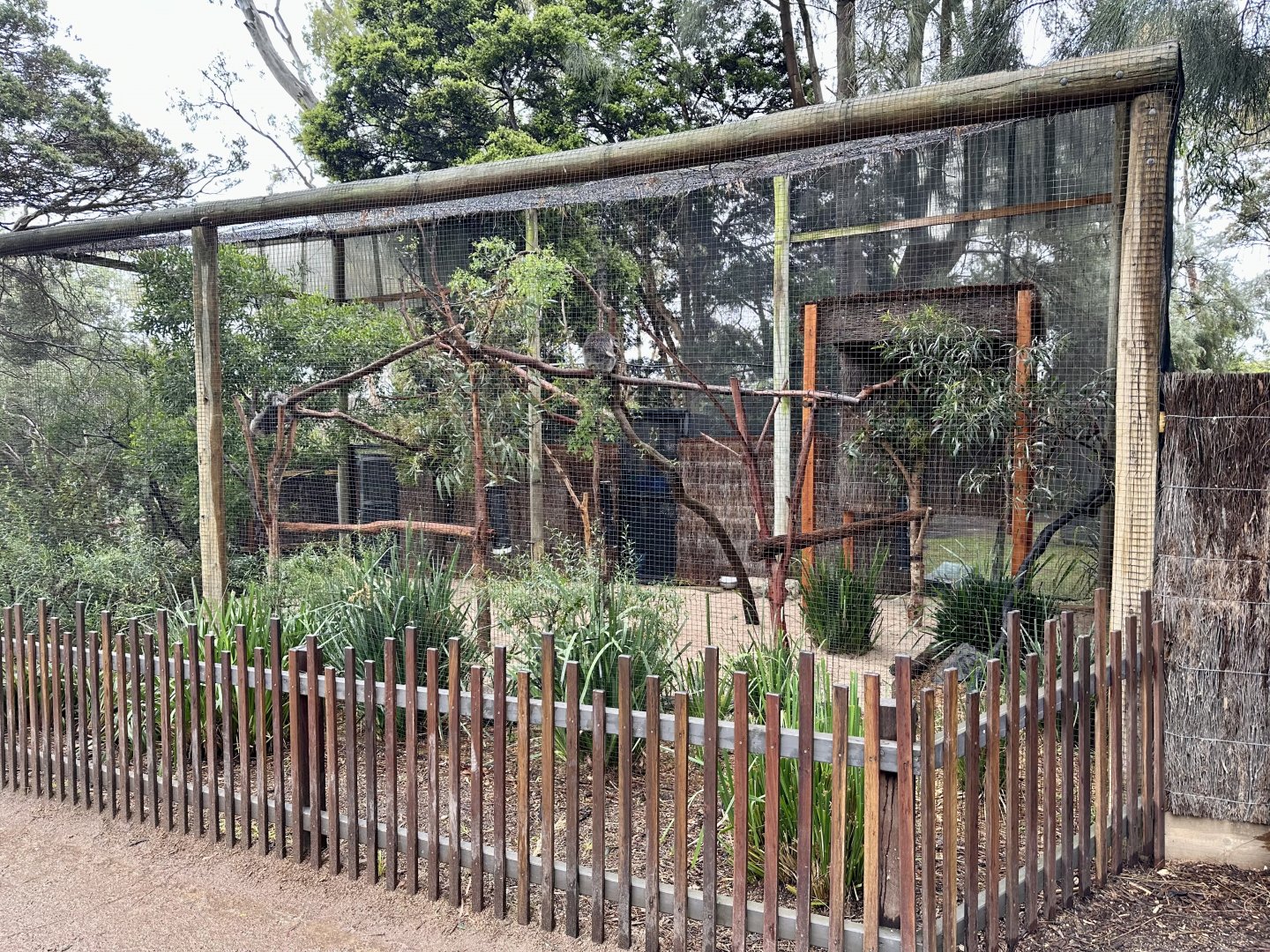 Southern Koala Aviary