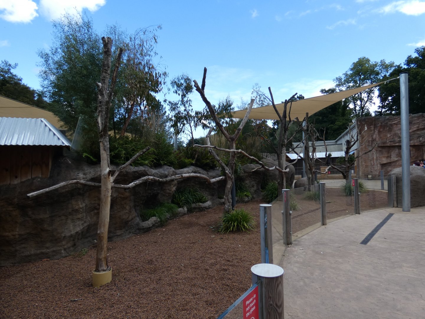 Southern Koala outdoor enclosure (2)