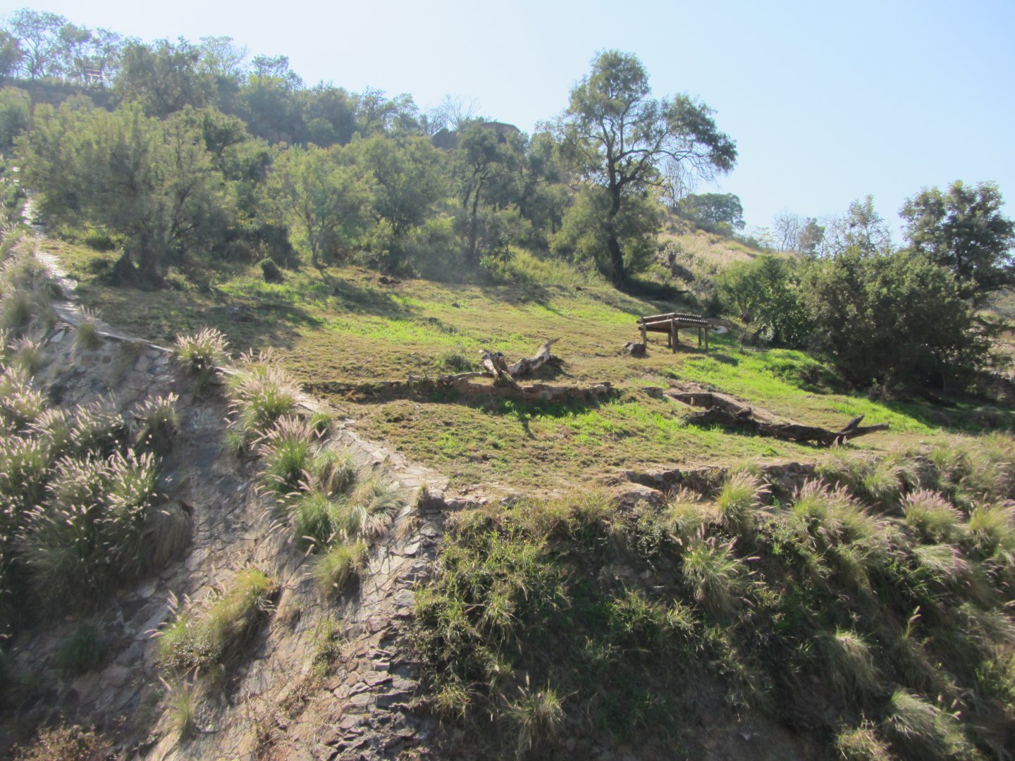 Southern Lion Exhibit