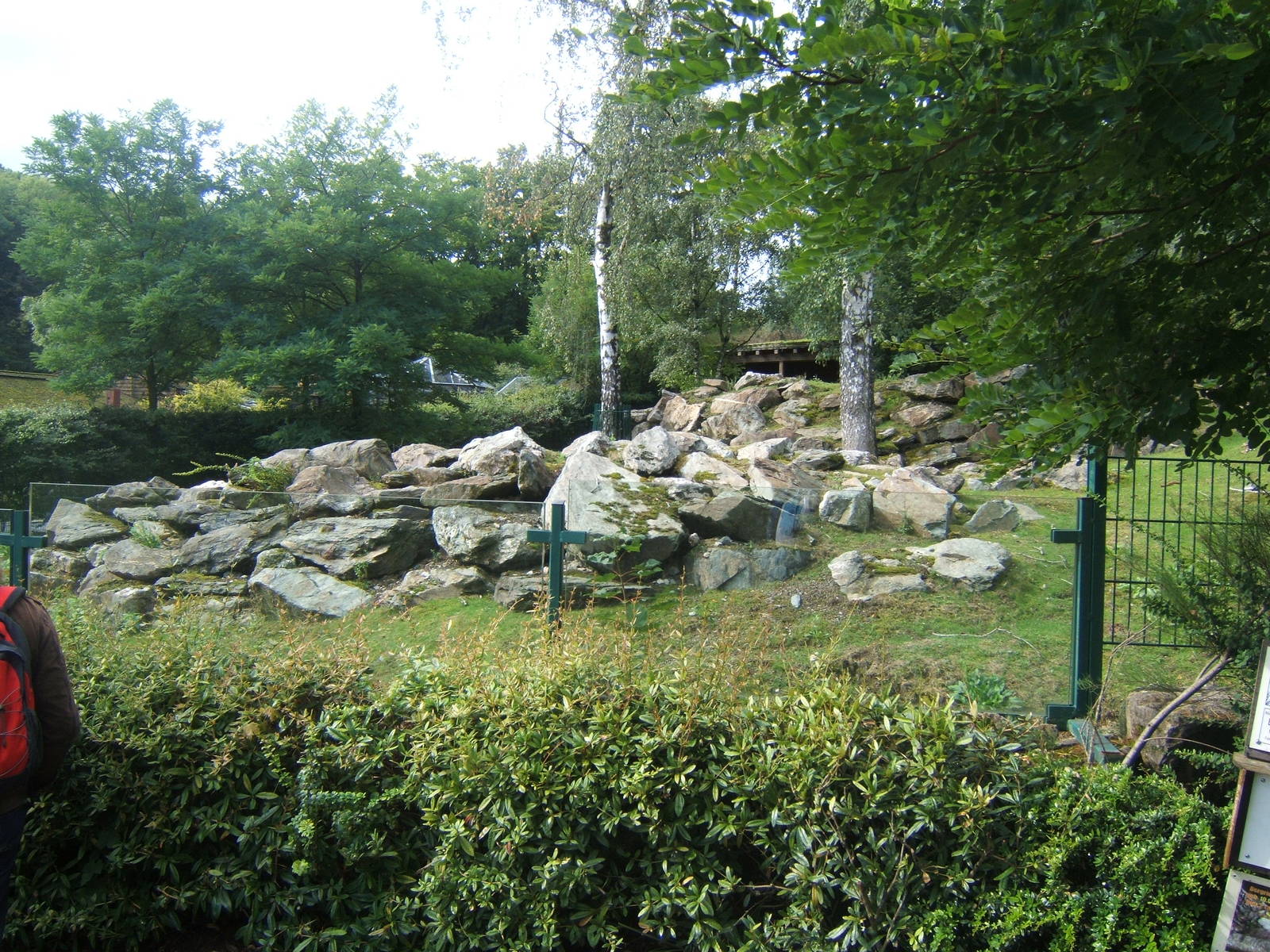Southern Mountain Reedbuck enclosure