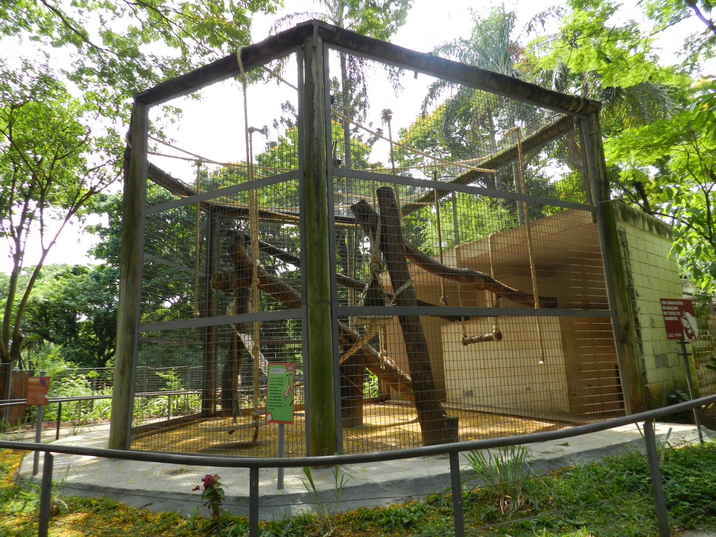 Southern muriqui exhibit - Sorocaba zoo (PZMQB)