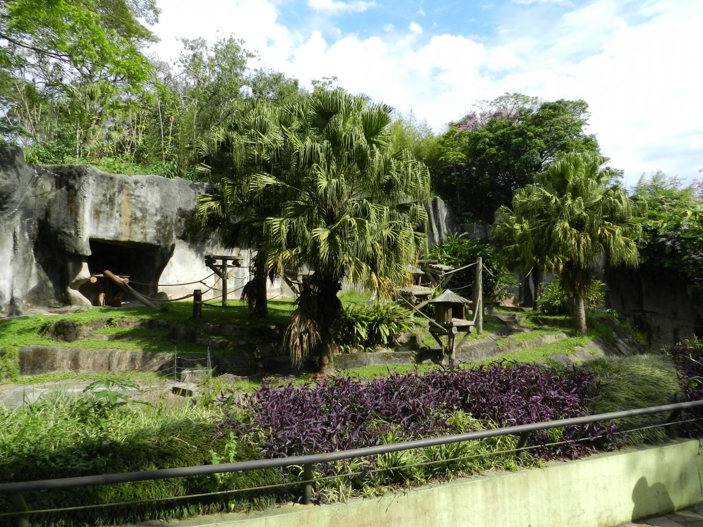 Southern muriqui exhibit - Zoo São Paulo