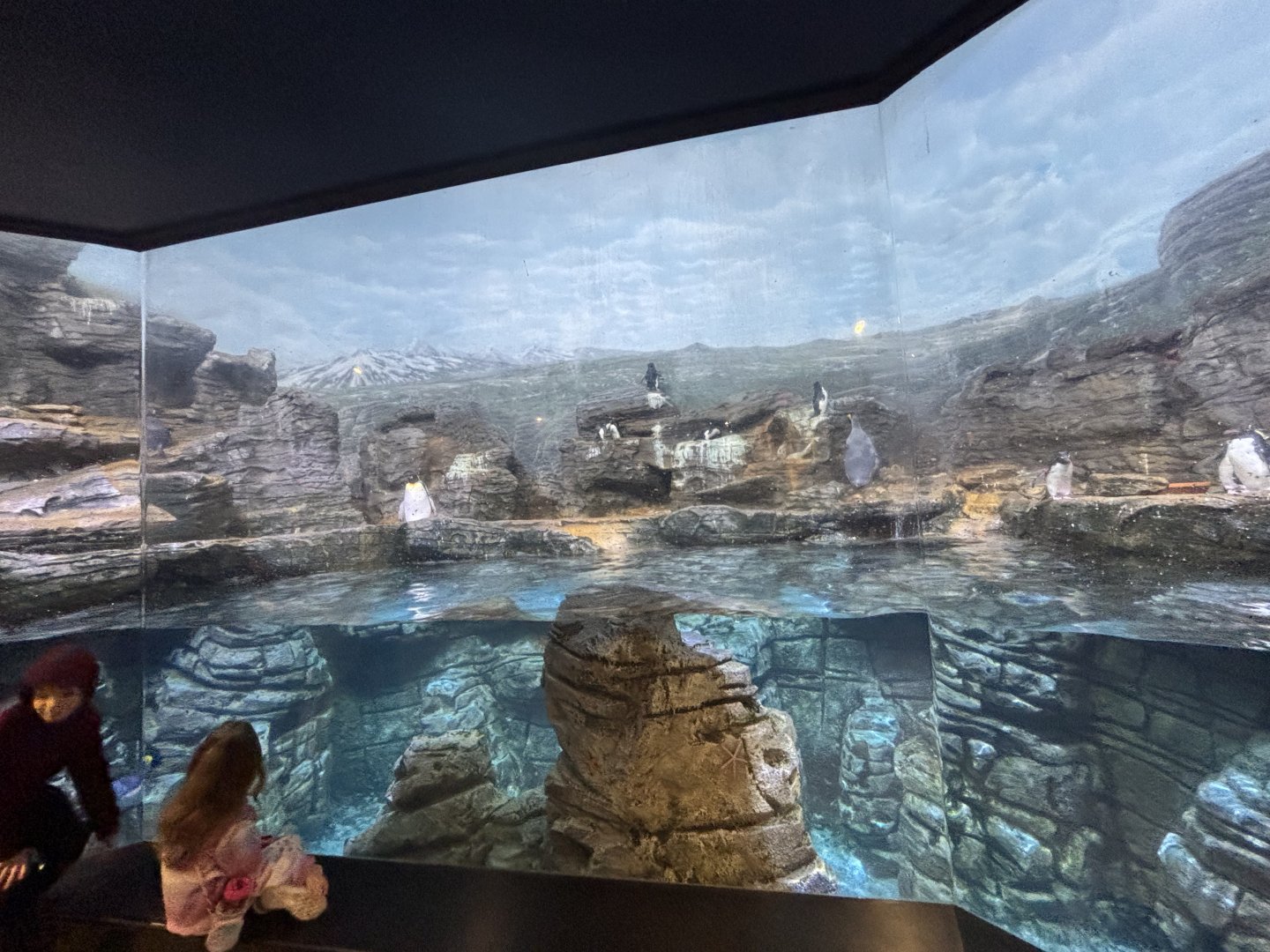 Southern Ocean - Wings of the World