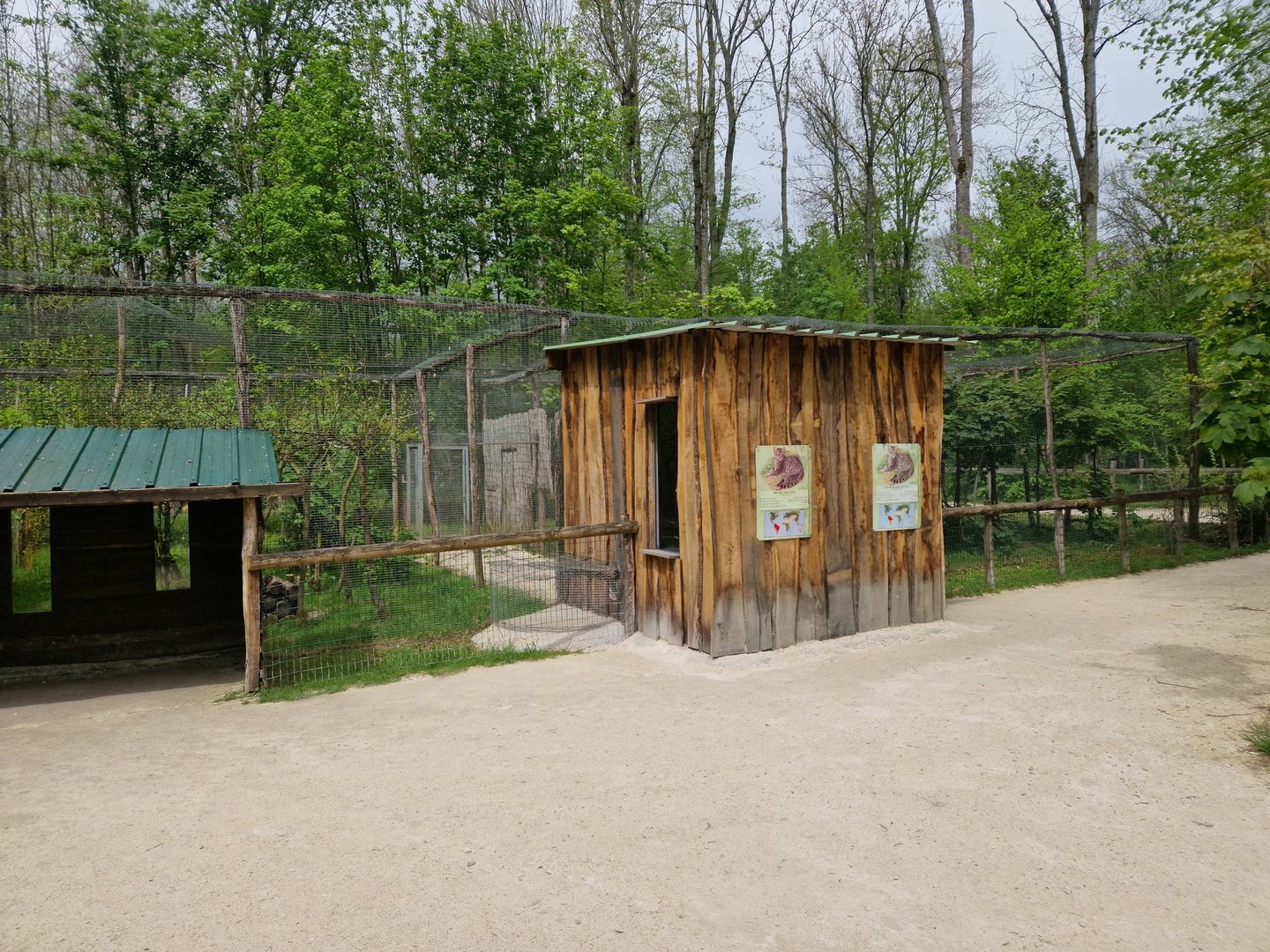 Southern Oncilla / Northern Oncilla corner