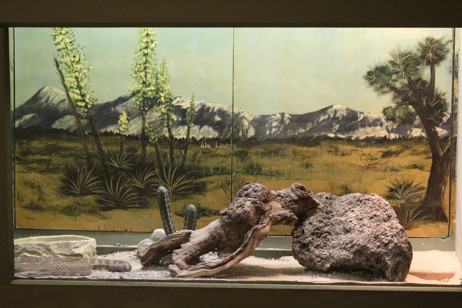 Southern Pacific Rattlesnake Enclosure