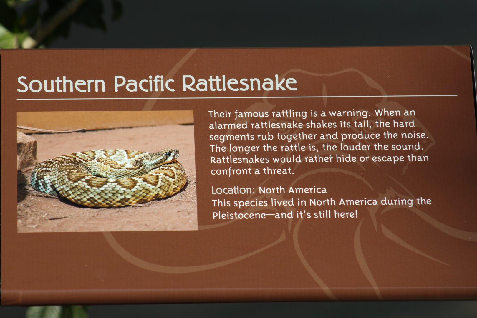 Southern Pacific Rattlesnake Signage