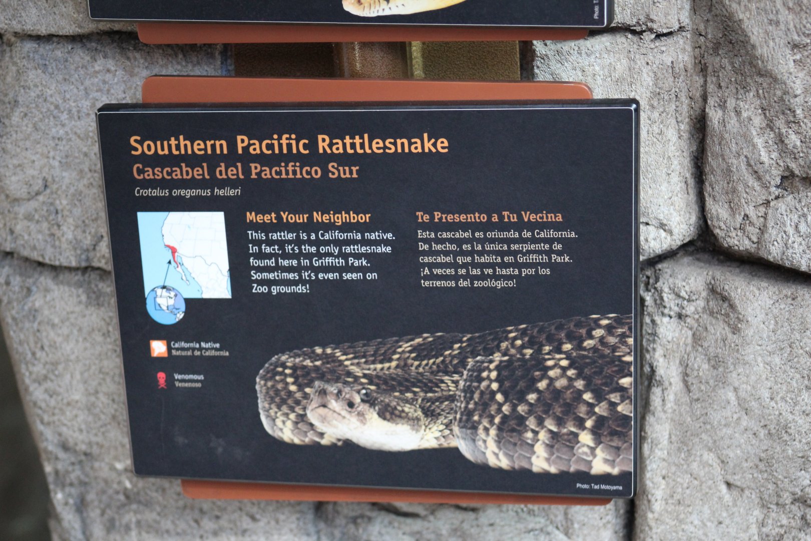Southern Pacific Rattlesnake Signage