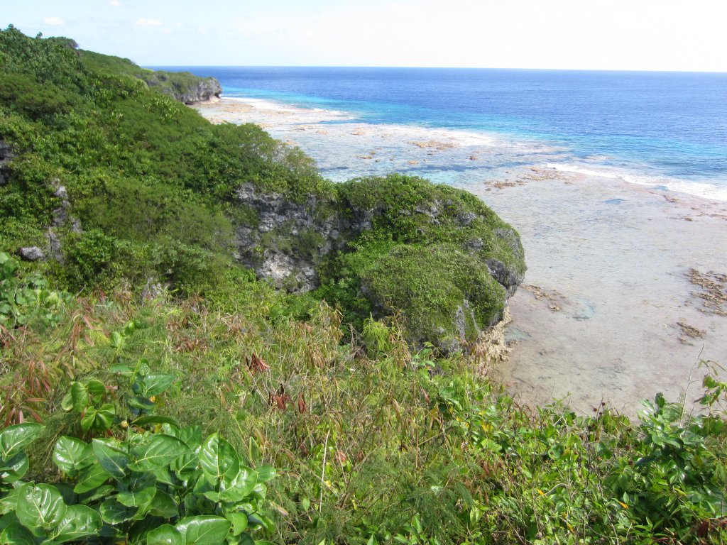 Southern part of Hikutavake Reef