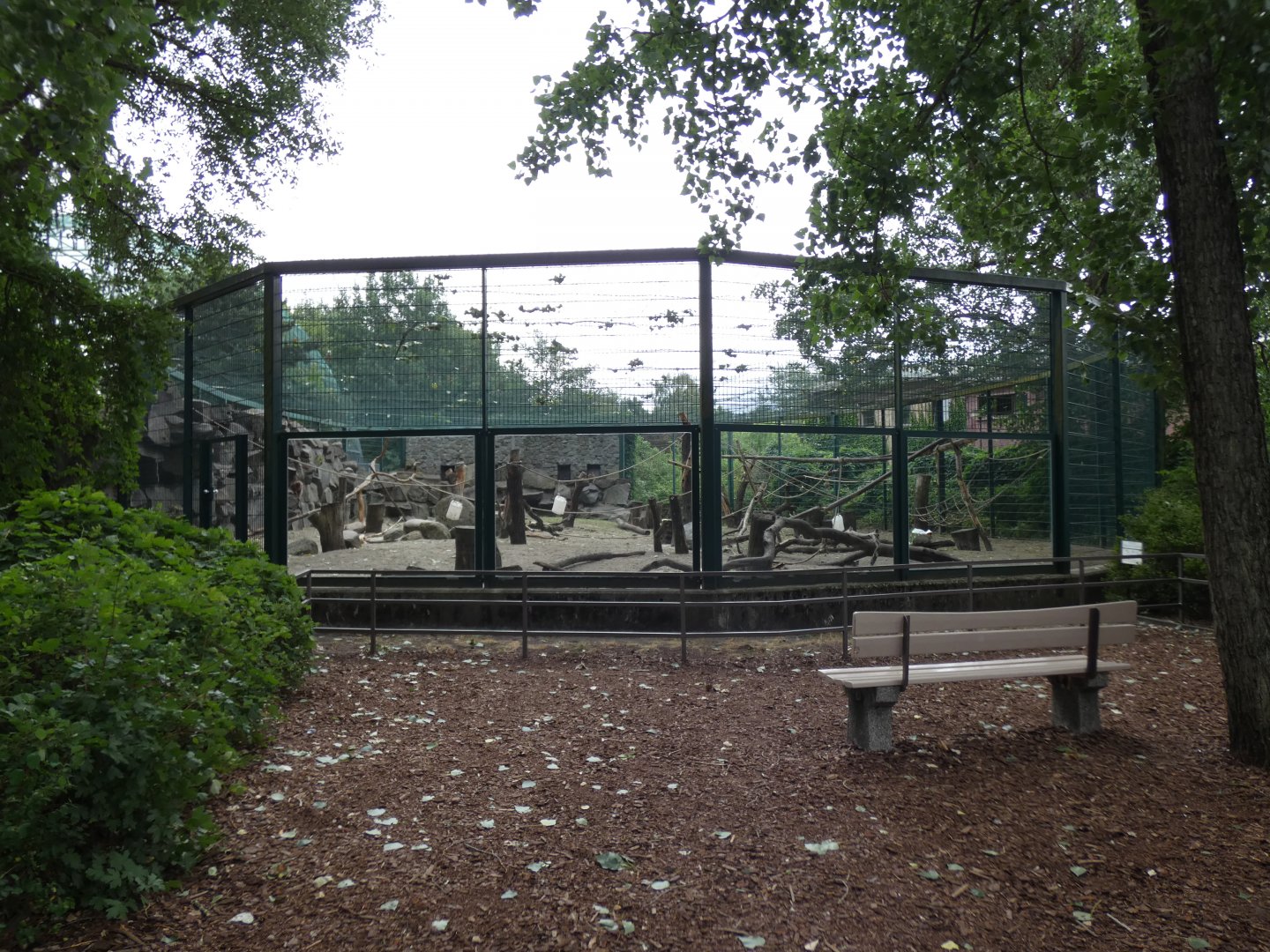 Southern Pig-tailed Macaque Enclosure