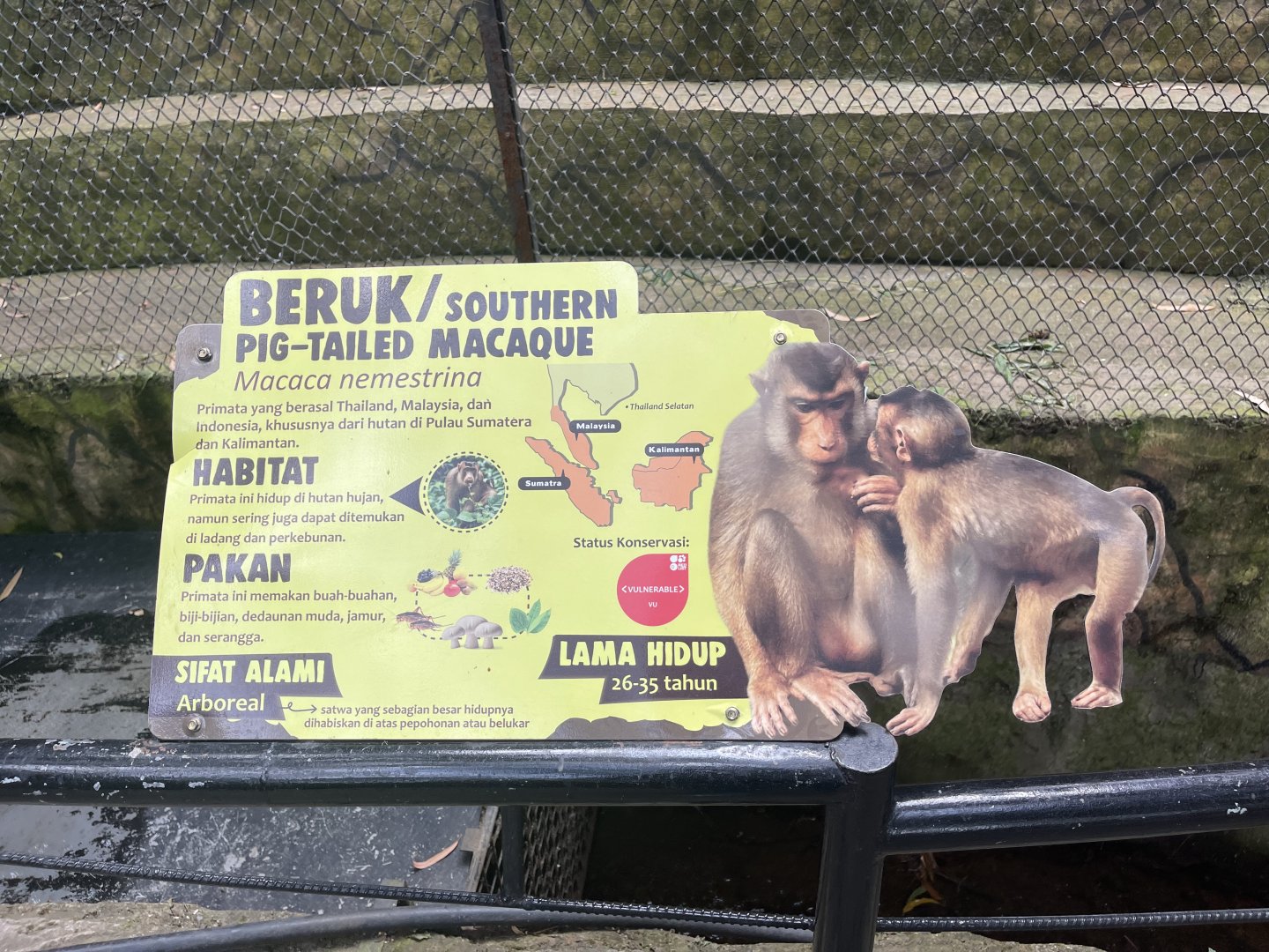 southern pig-tailed macaque signage (1)