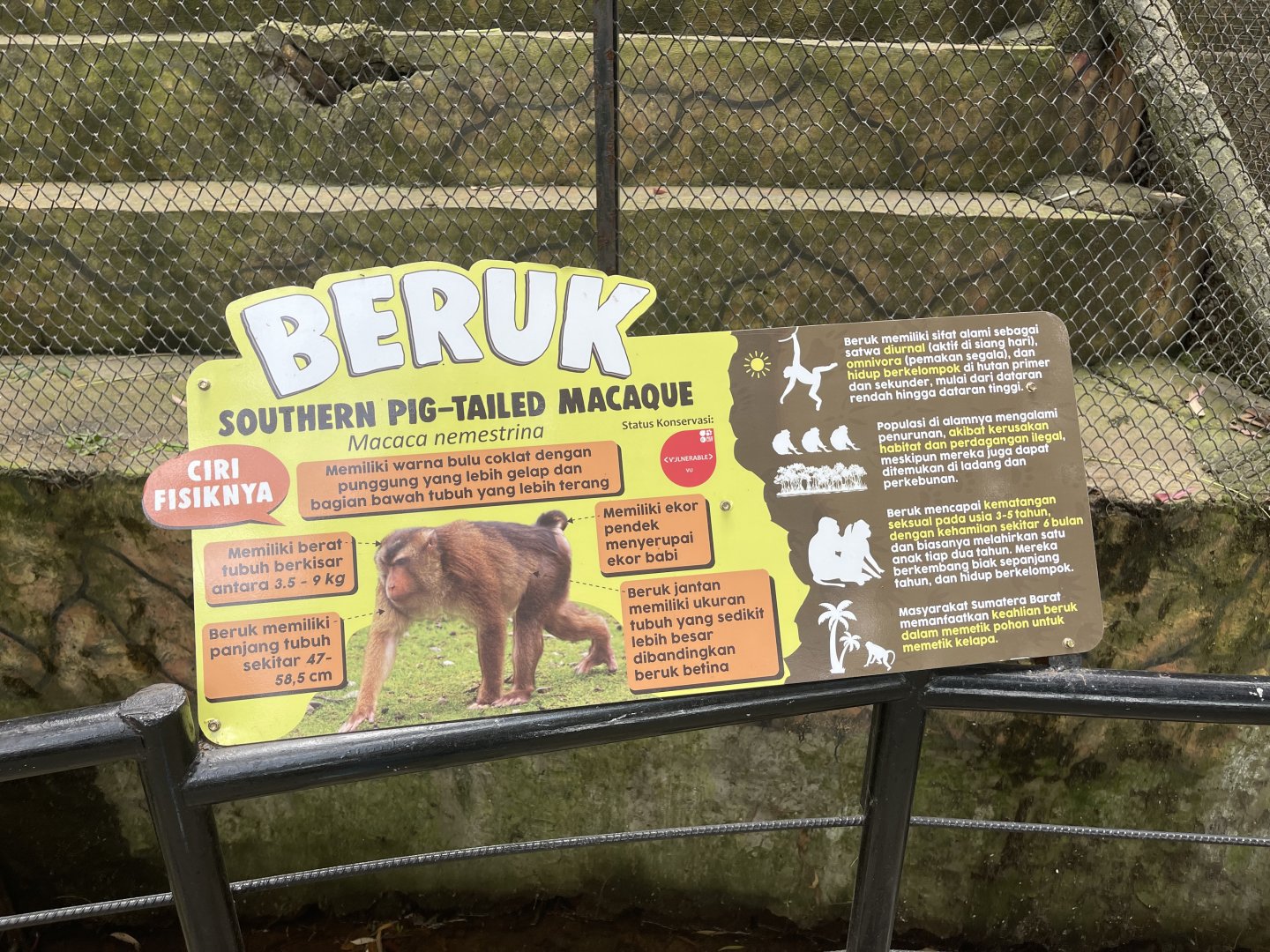 southern pig-tailed macaque signage (2)