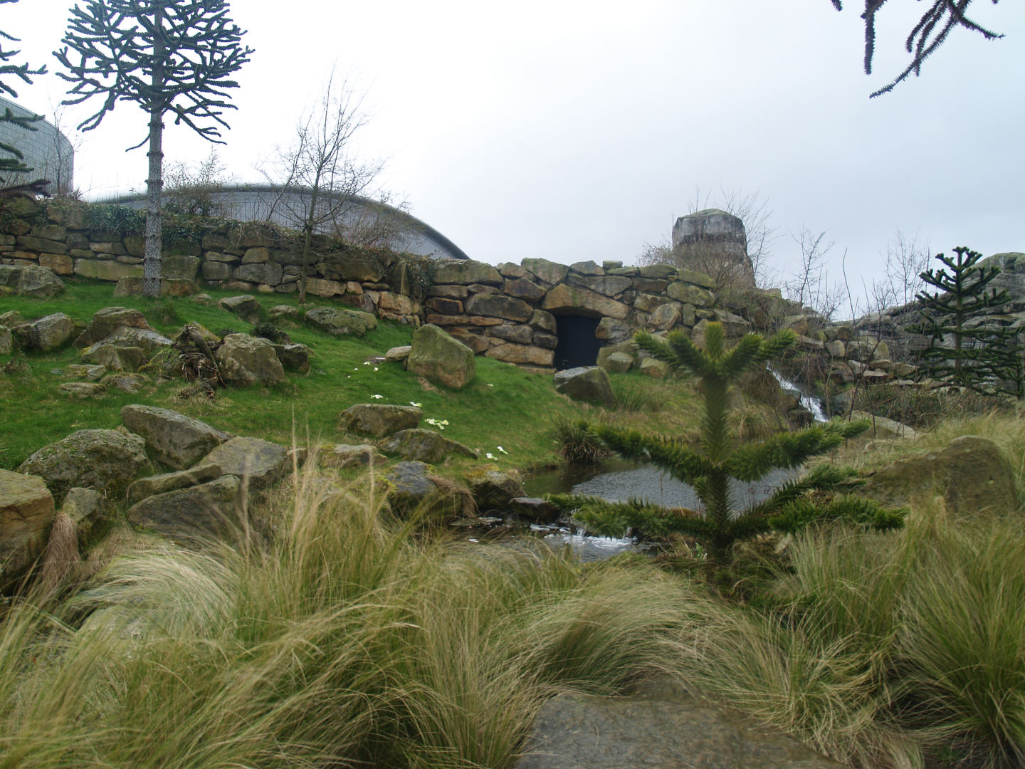 Southern pudu and Crested screamer exhibit, 2008-03-01