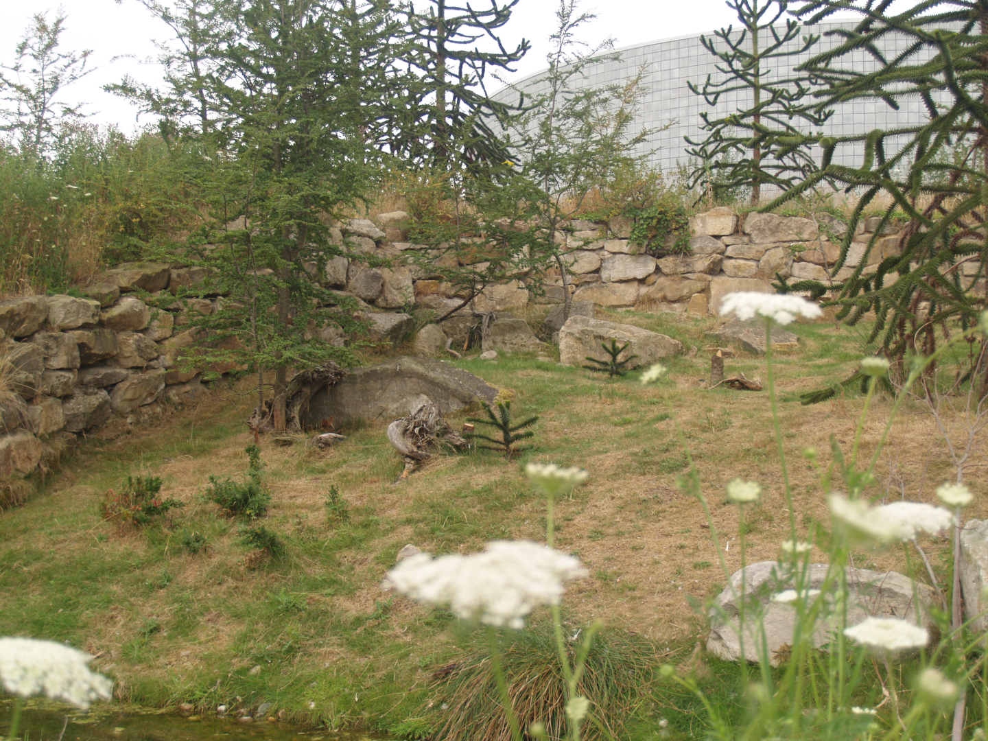 Southern pudu and Southern screamer exhibit, 2006-07-08