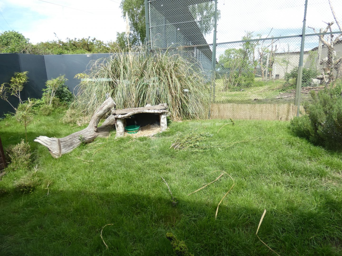 Southern pudu enclosure