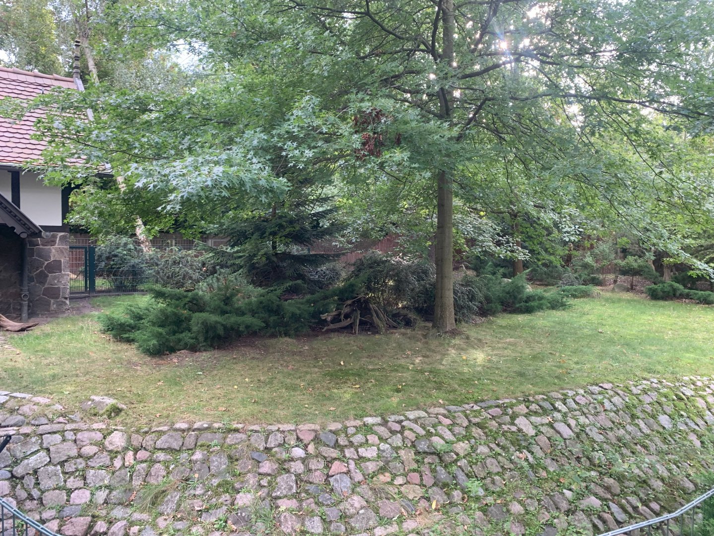 Southern Pudu enclosure