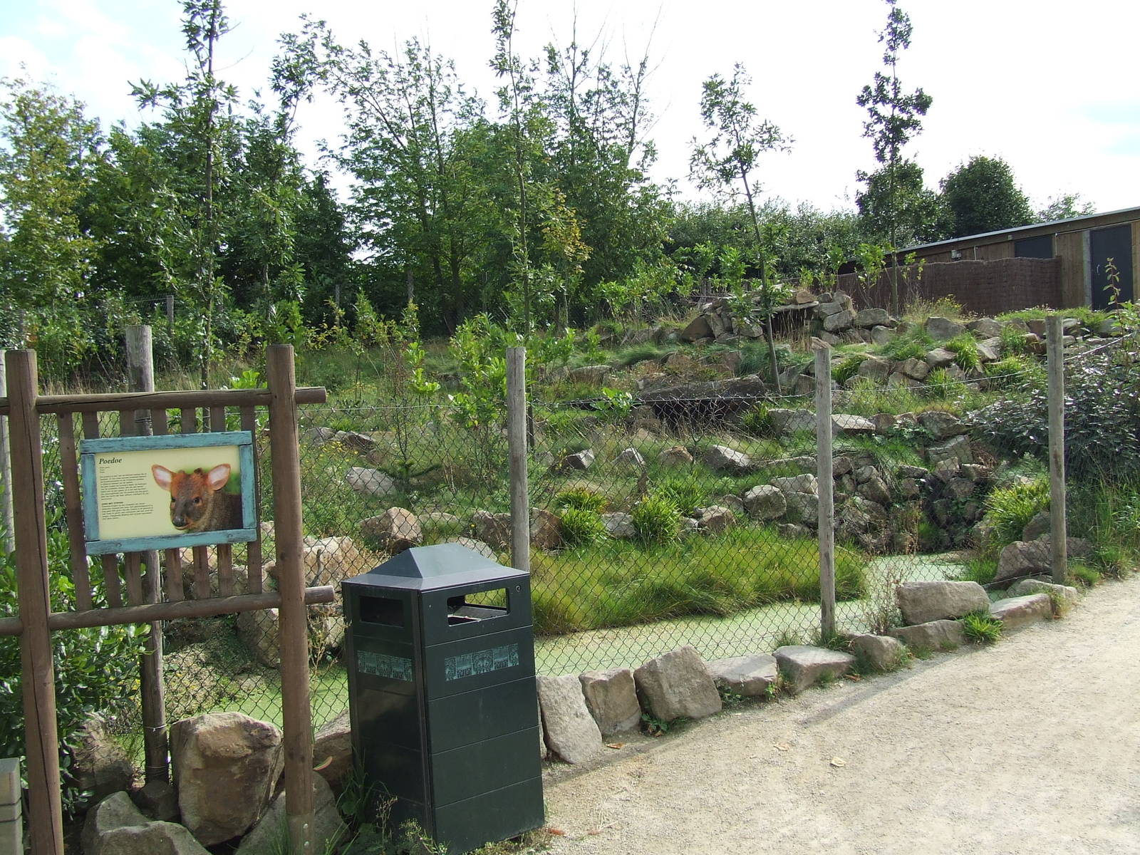 Southern Pudu enclosure
