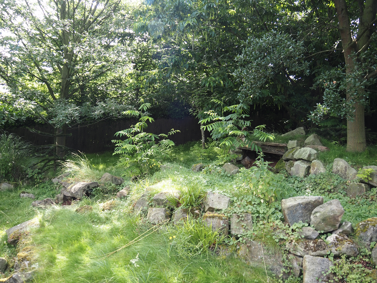 Southern pudu exhibit, 2024-06-30