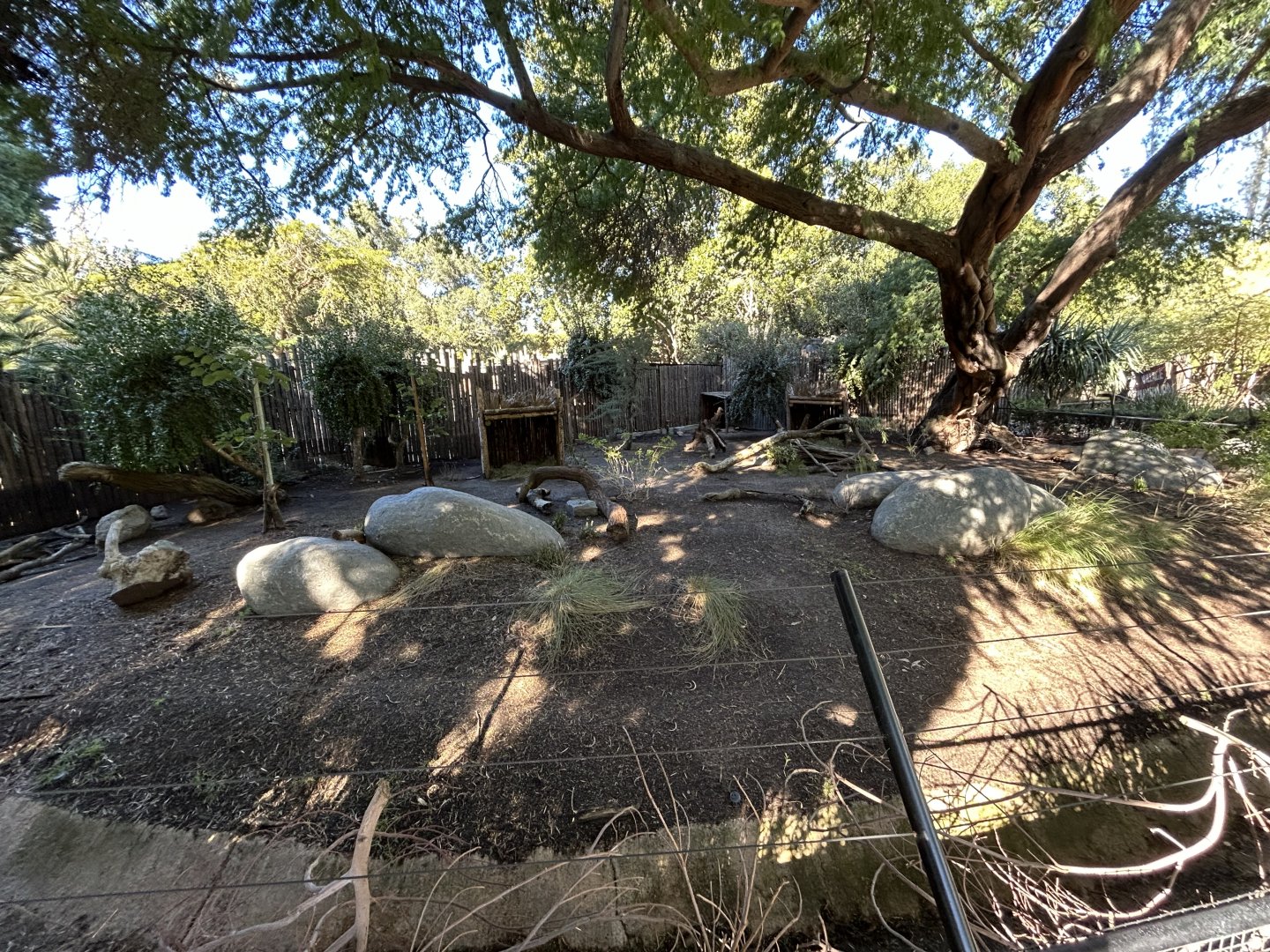 Southern Pudu Exhibit - Nairobi Village