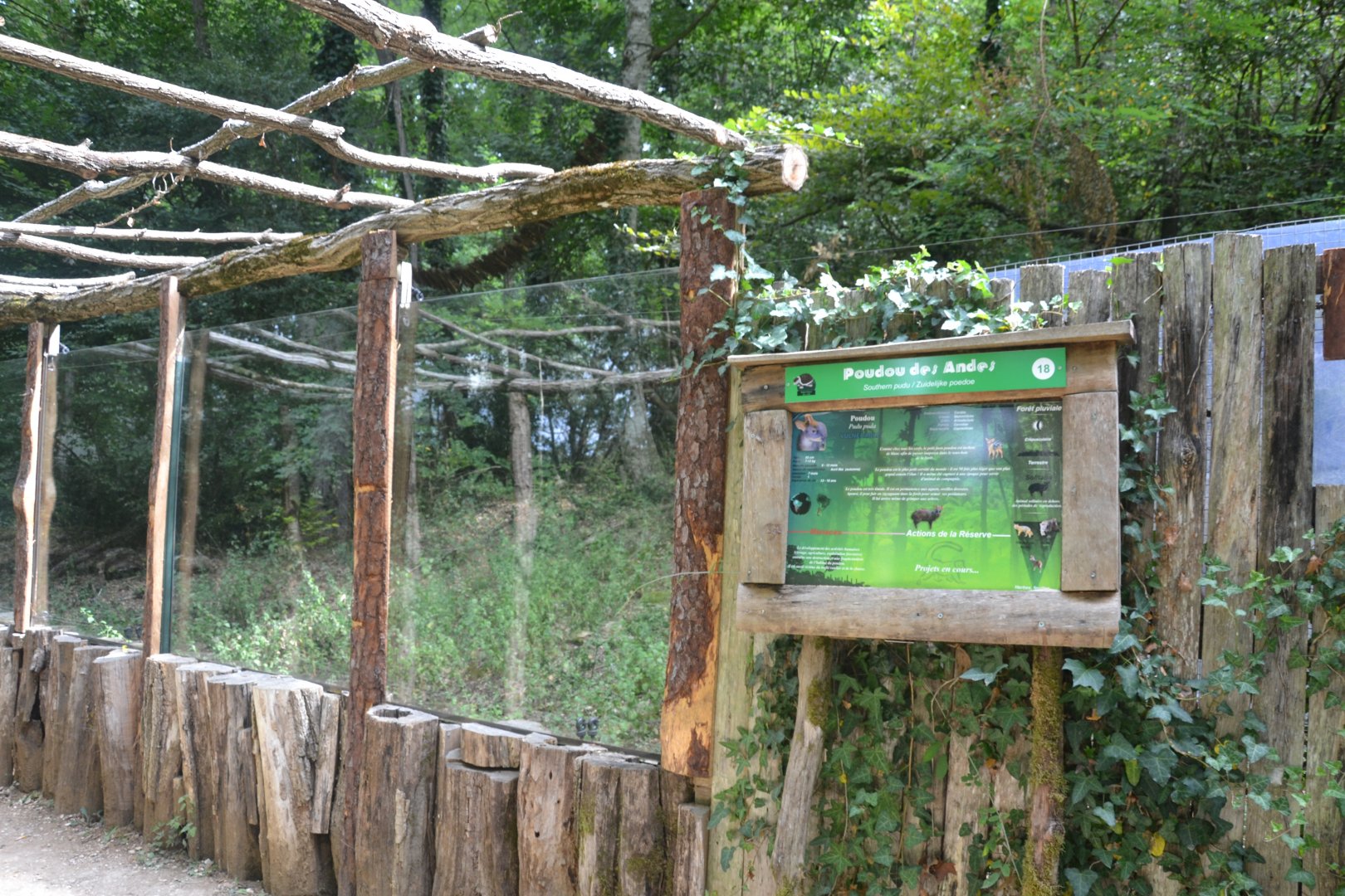 Southern Pudu & Squirrel monkey enclosure