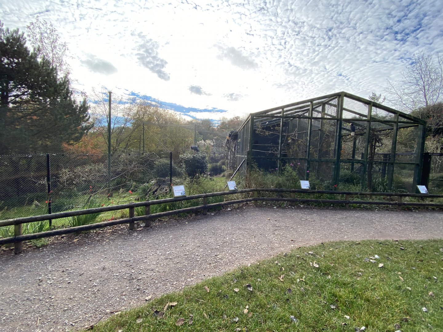Southern screamer and hornbill aviaries 201121
