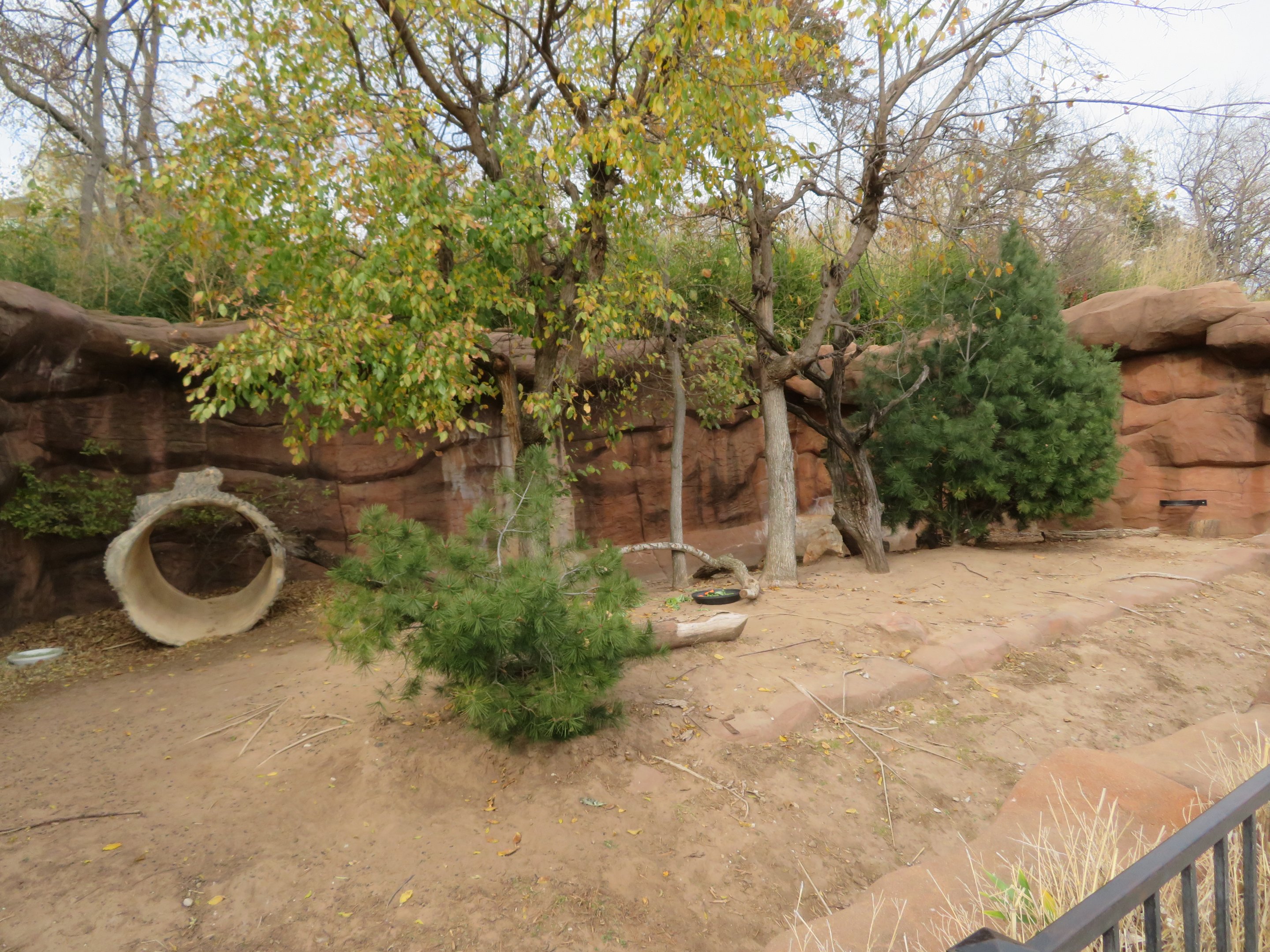 Southern Screamer/Patagonian Mara Exhibit