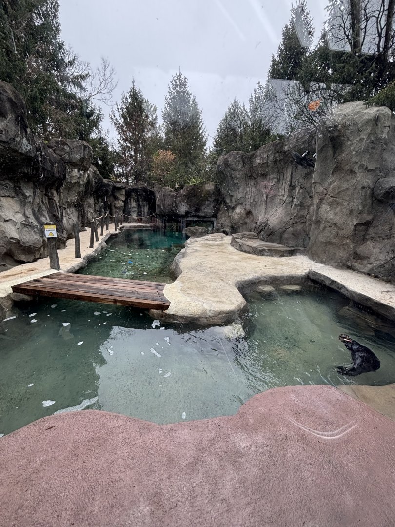 Southern Sea Otter Exhibit