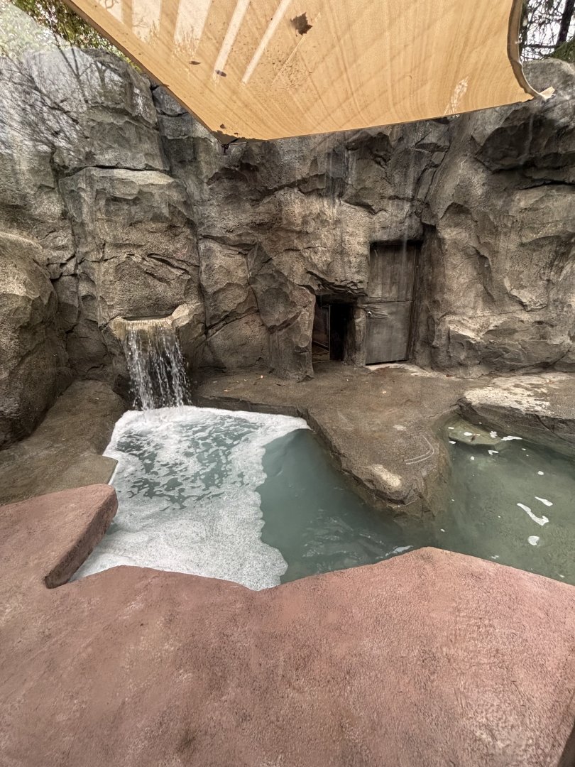 Southern Sea Otter Exhibit